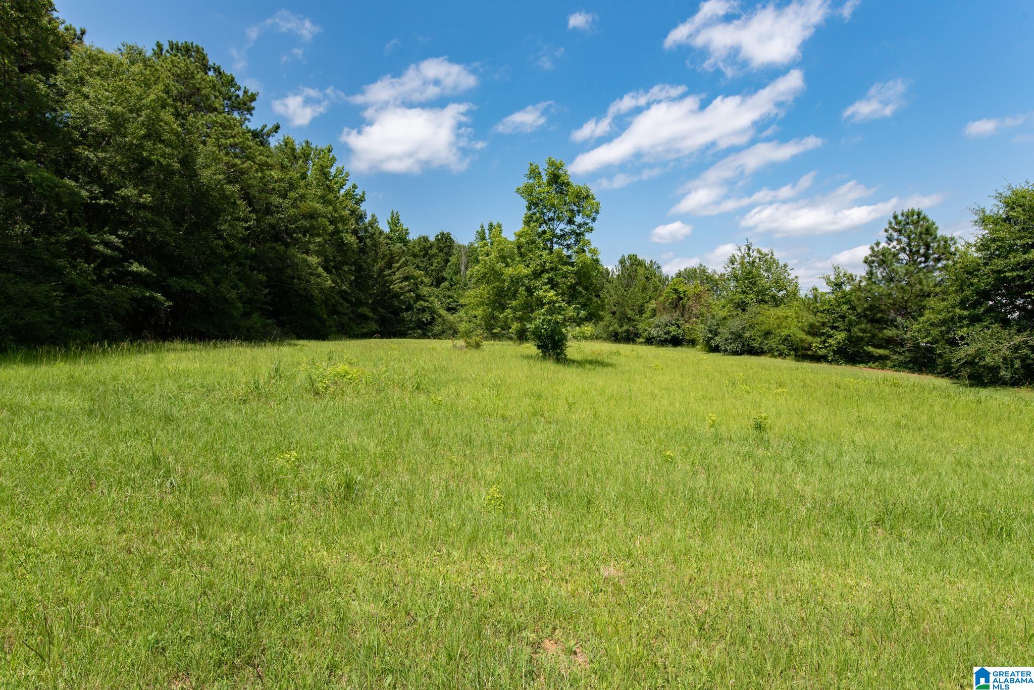 000 HICKORY DRIVE 0