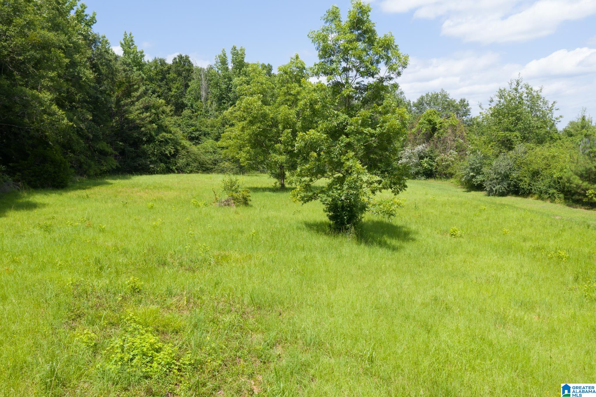 000 HICKORY DRIVE 0