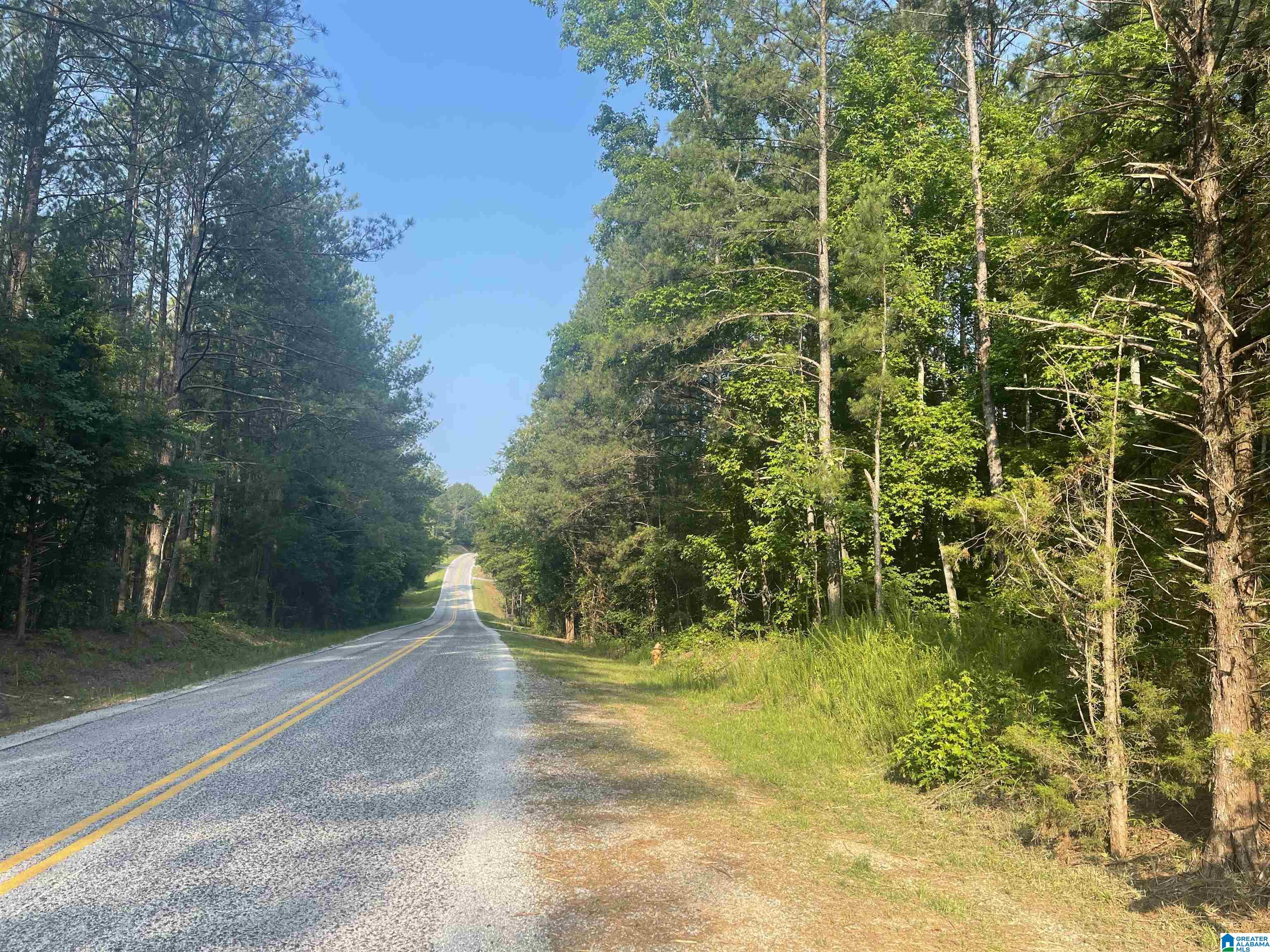 13067 County Road 66 #N/A, HEFLIN, Alabama image 20