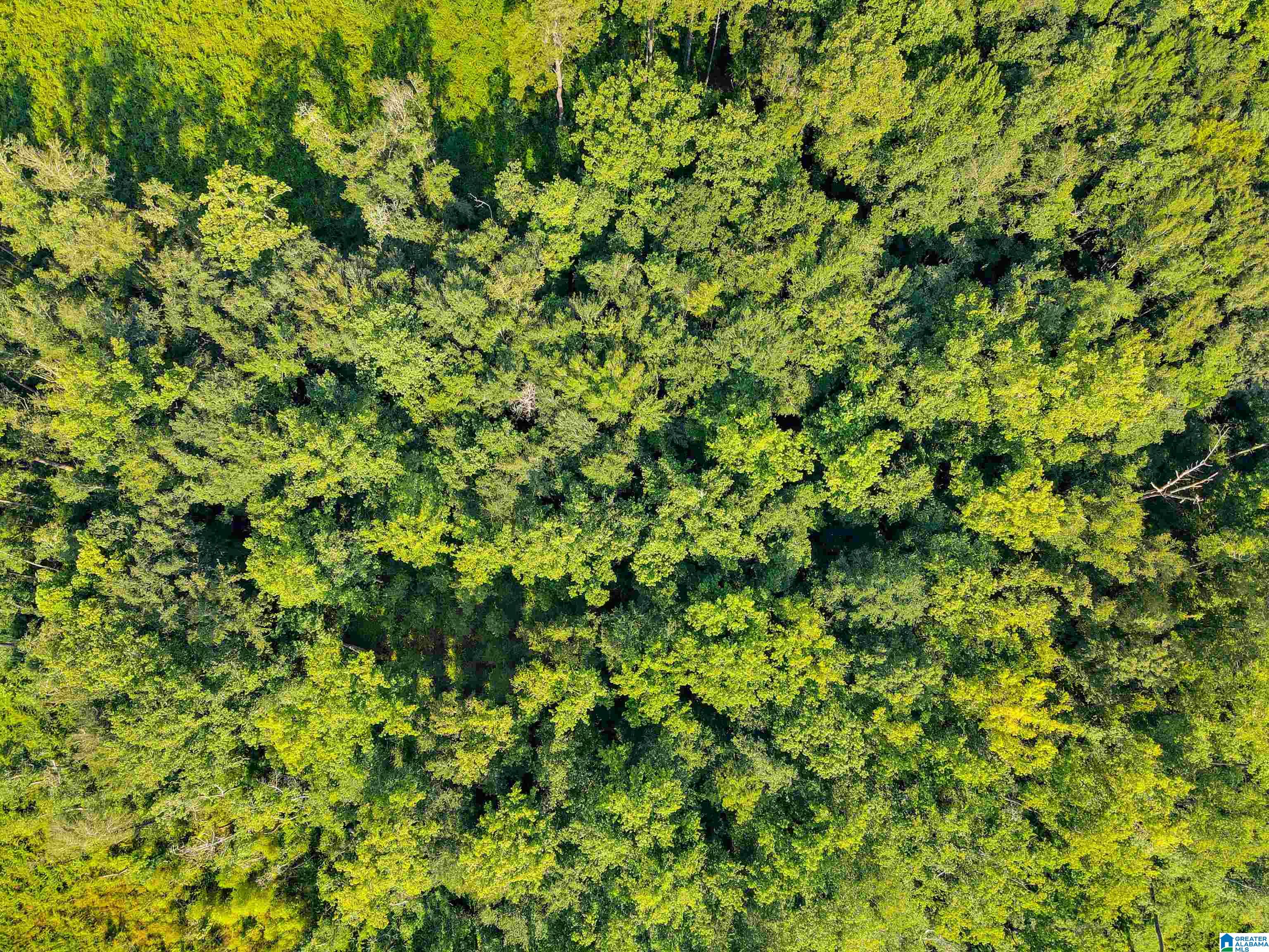 Homes for sale in Clanton, AL | 0 New Harmony Road, Clanton, AL 35045 | MLS# 1359959