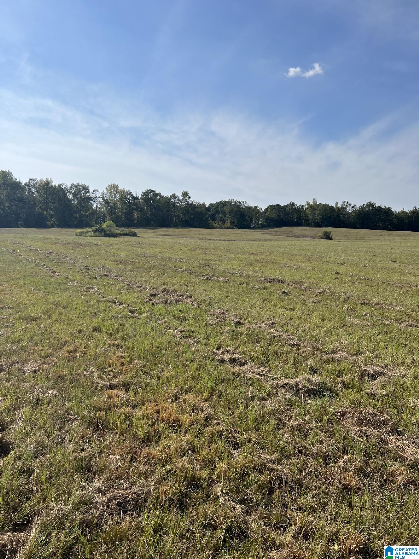 Homes for sale in Clanton, AL | 0 New Harmony Road, Clanton, AL 35045 | MLS# 1359959