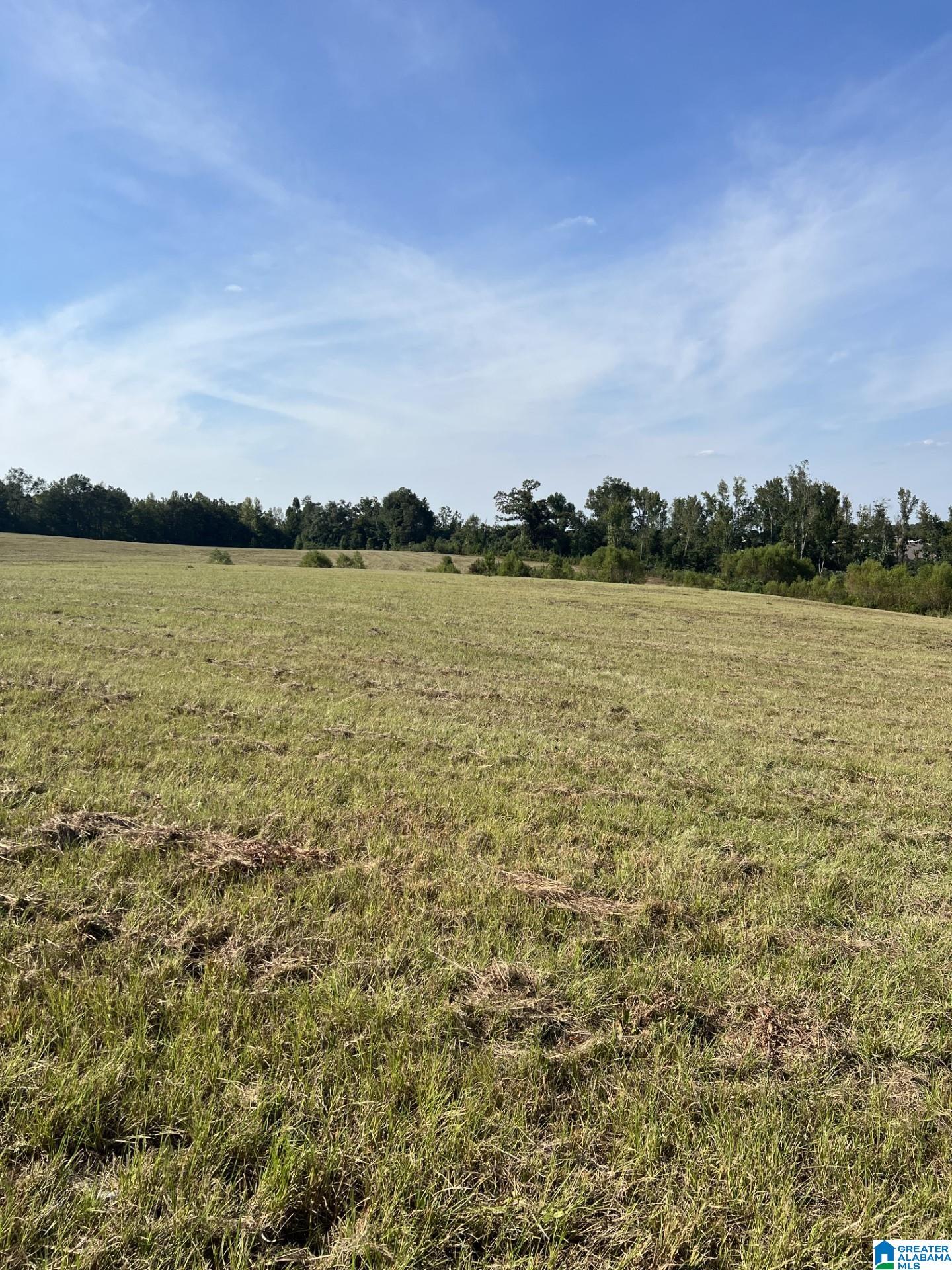 Homes for sale in Clanton, AL | 0 New Harmony Road, Clanton, AL 35045 | MLS# 1359959