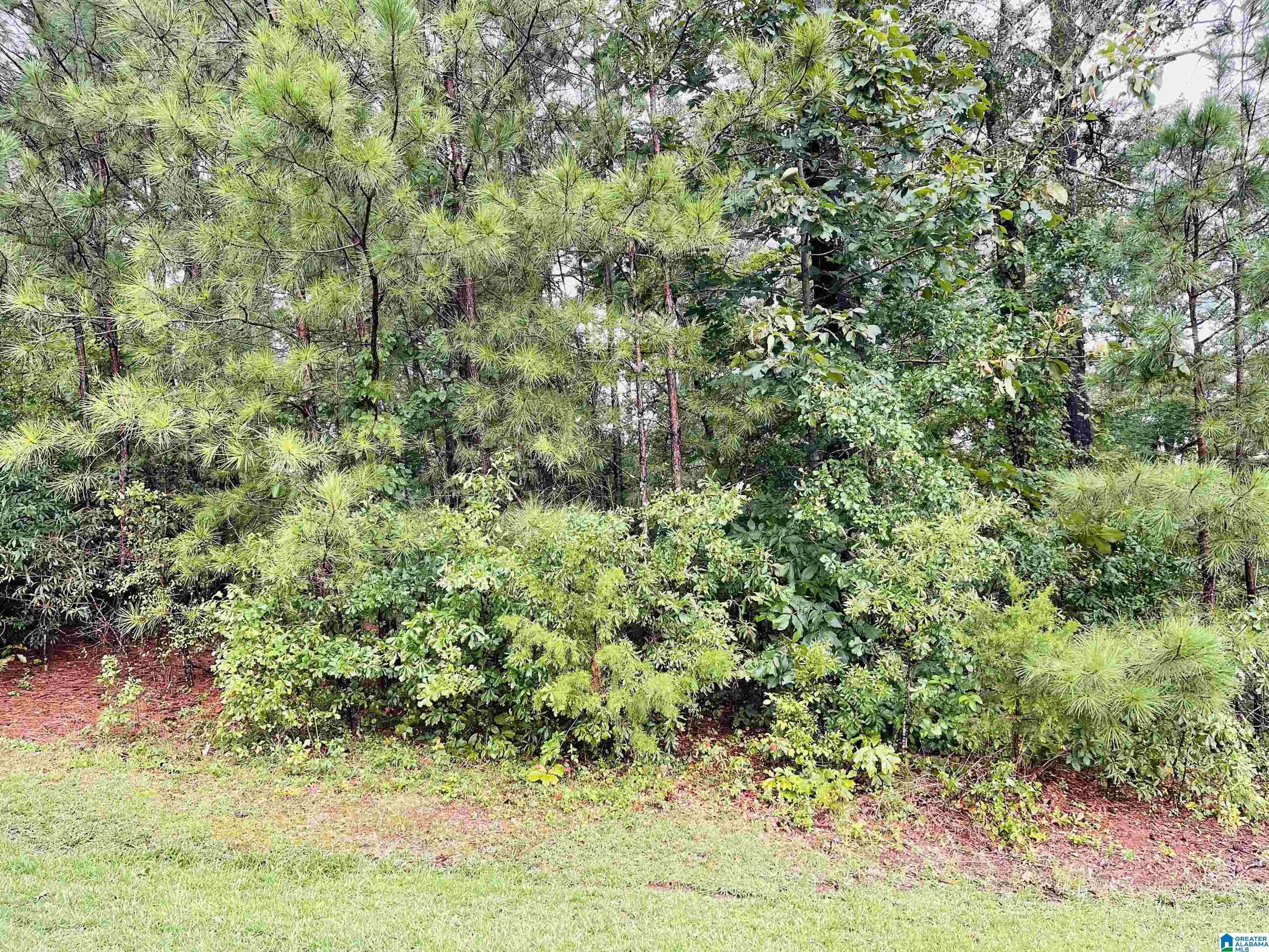 Homes for sale in Thorsby, AL | 0 3Rd Street, Thorsby, AL 35171 | MLS# 1361343