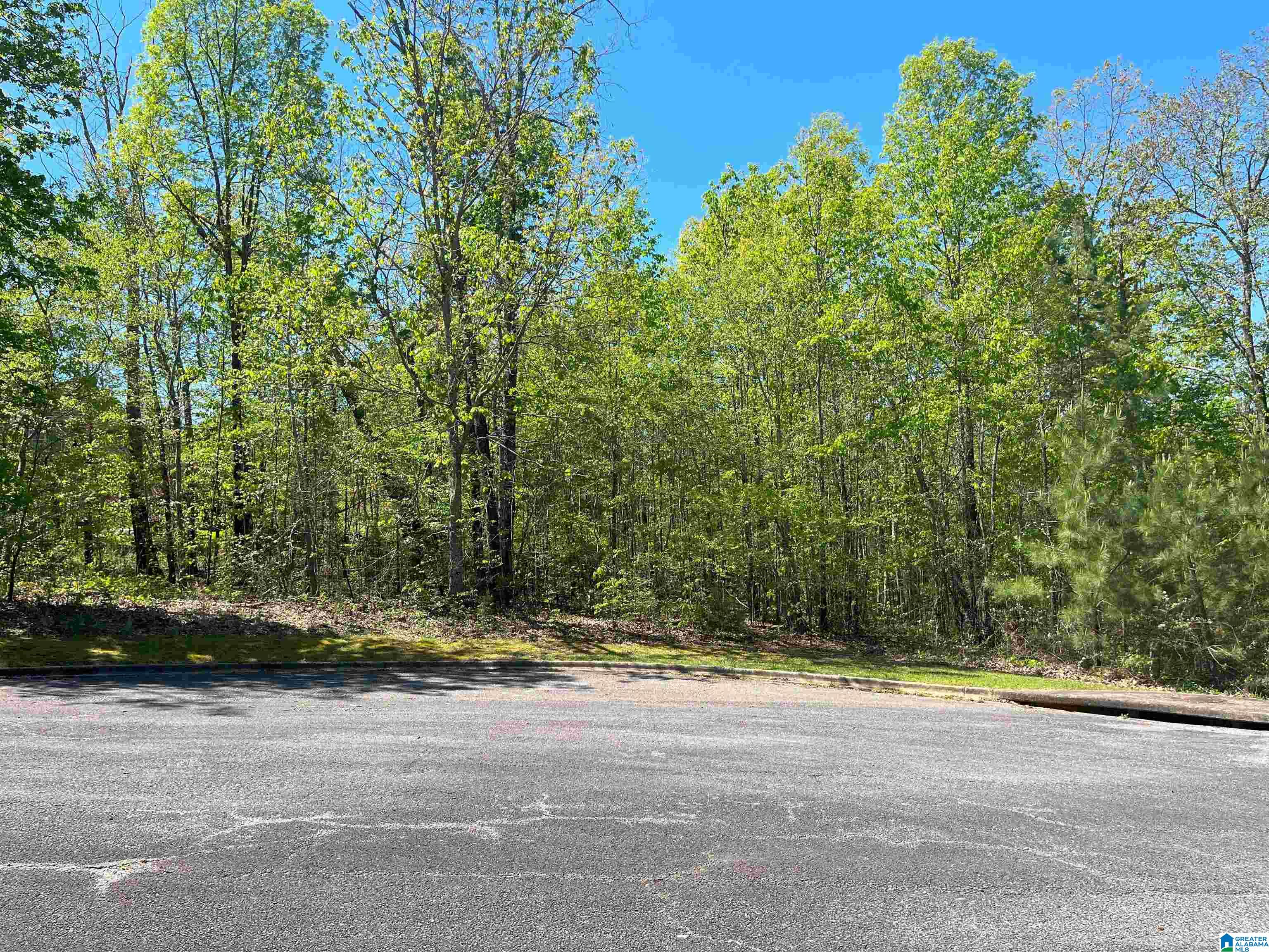 Homes for sale in Springville, AL | 0 Katy Circle, Springville, AL 35146 | MLS# 1361365