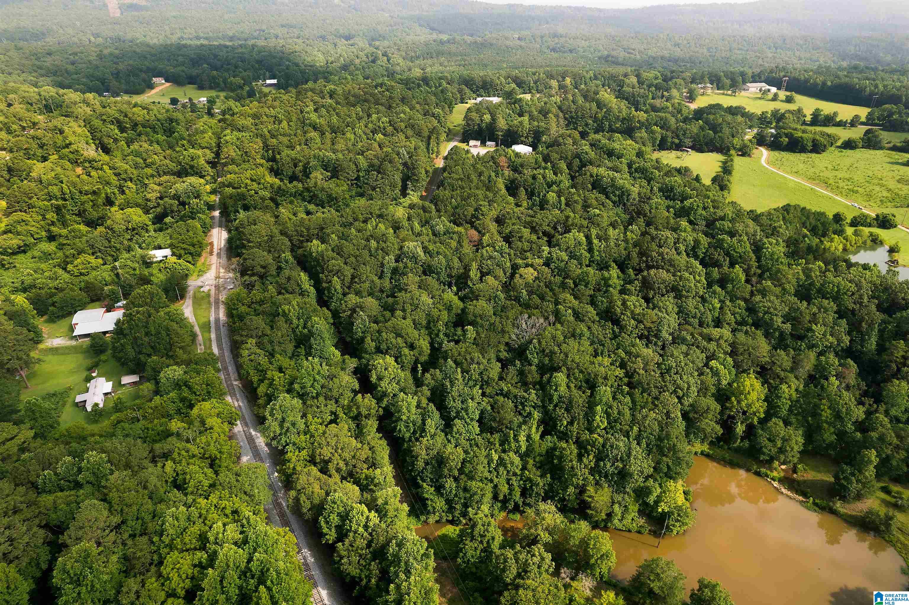 County Road 41 #1, LEEDS, Alabama image 6