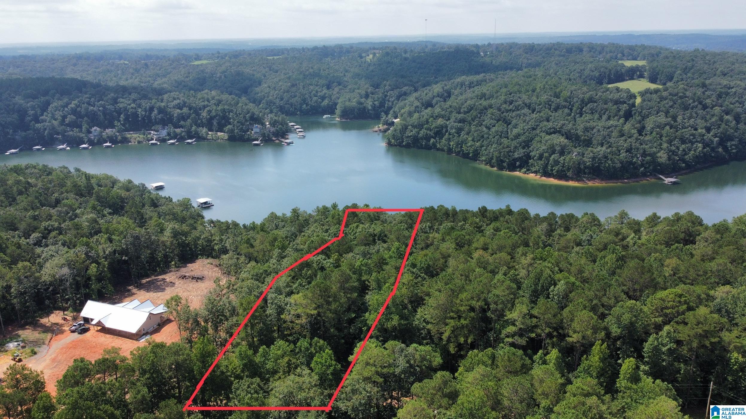 Lot 22 County Road 106 #22, LOGAN, Alabama image 6