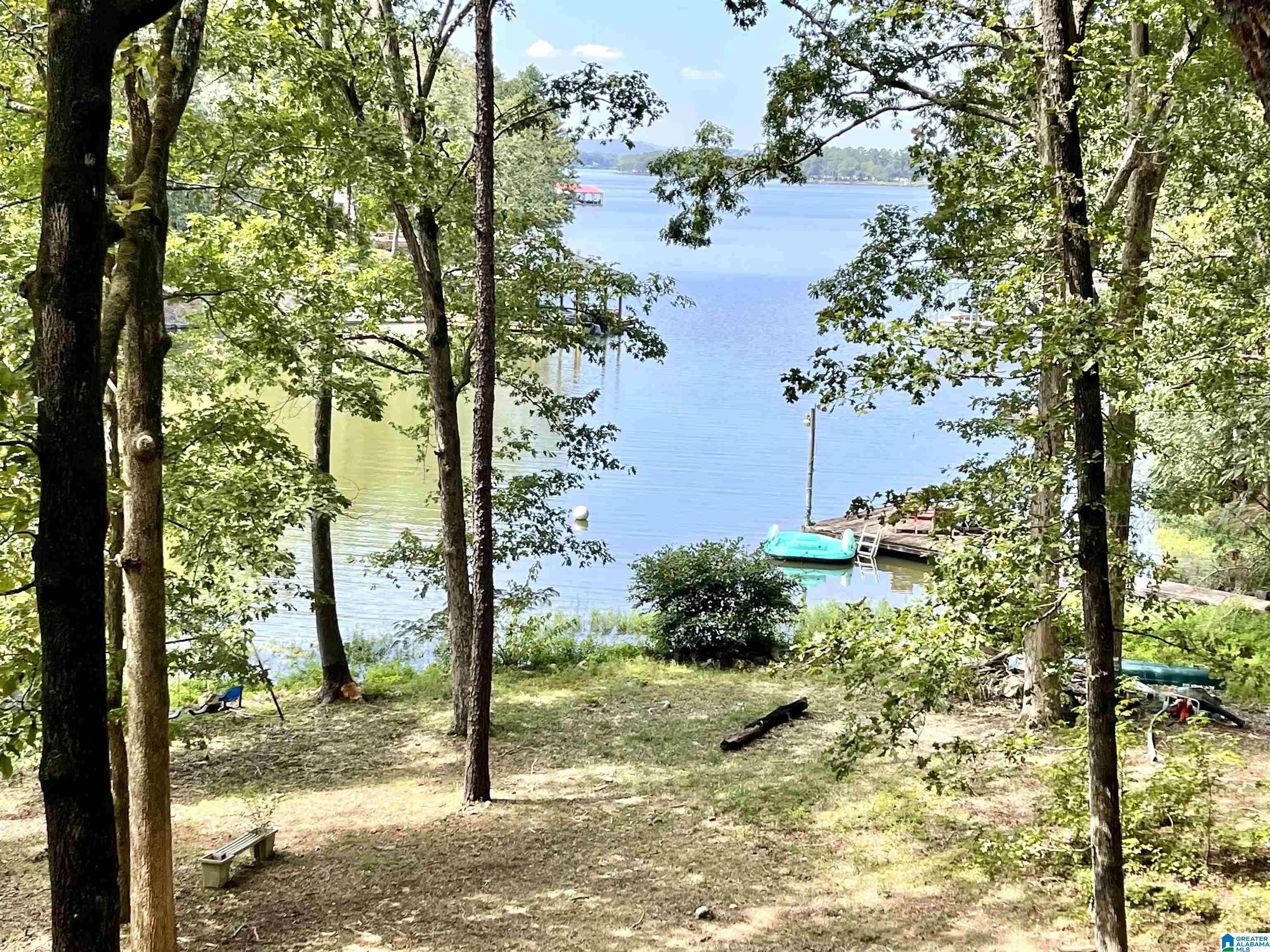 Lake Logan Martin Homes for Sale