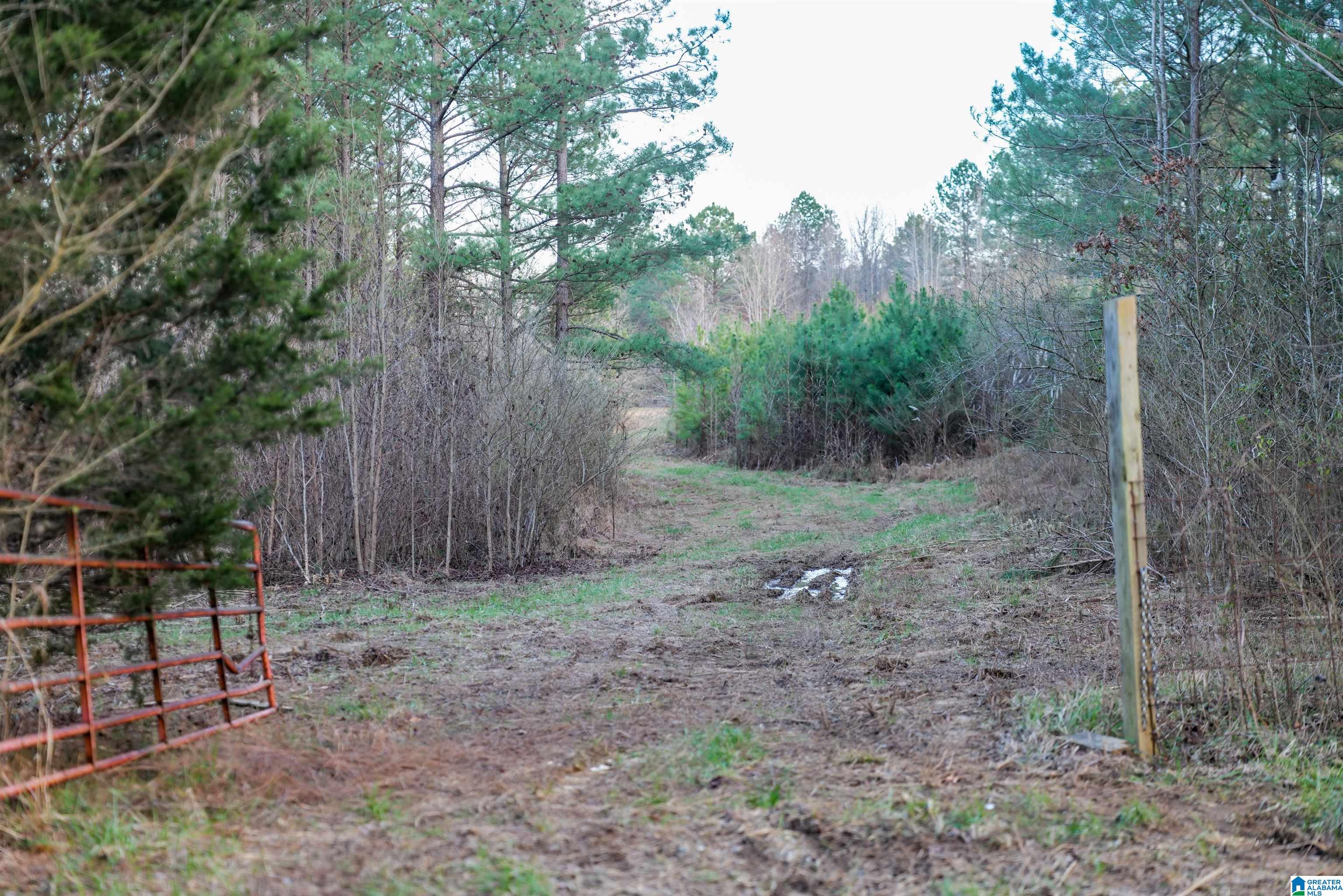 42acres County Road 338, CRANE HILL, Alabama image 22