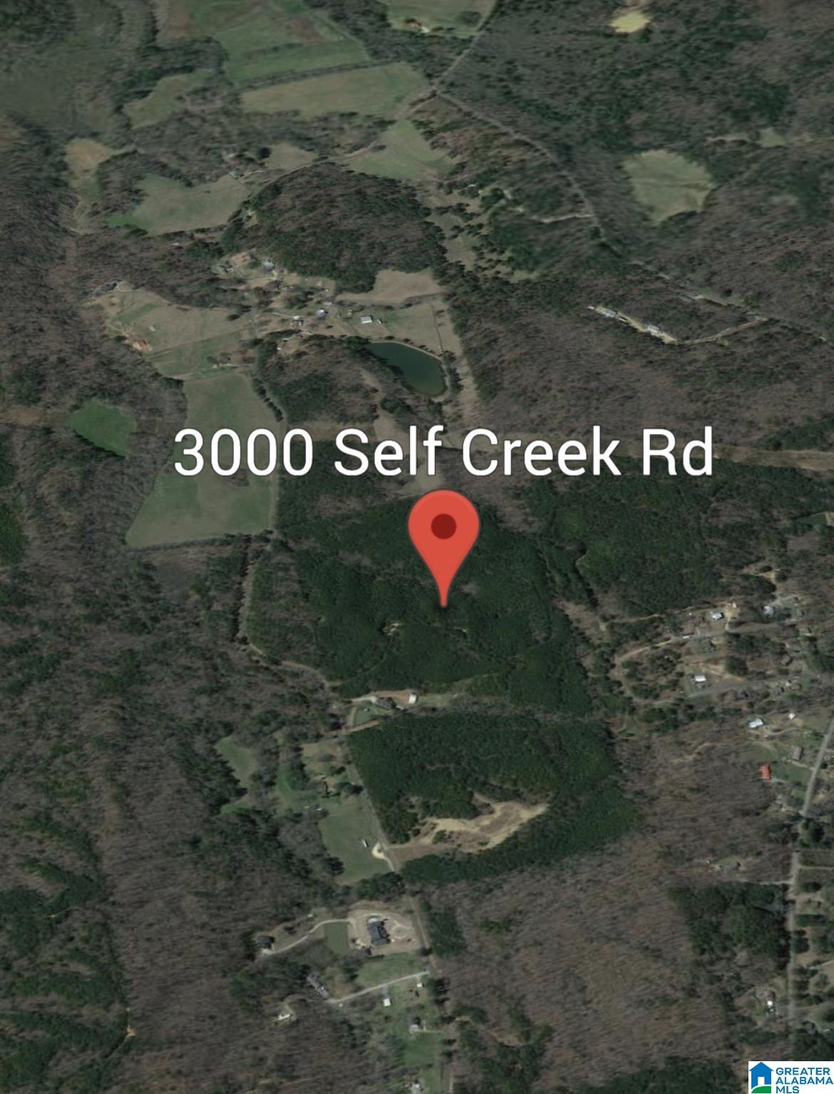 3000 Self Creek Road #LOT 1, WARRIOR, Alabama image 1
