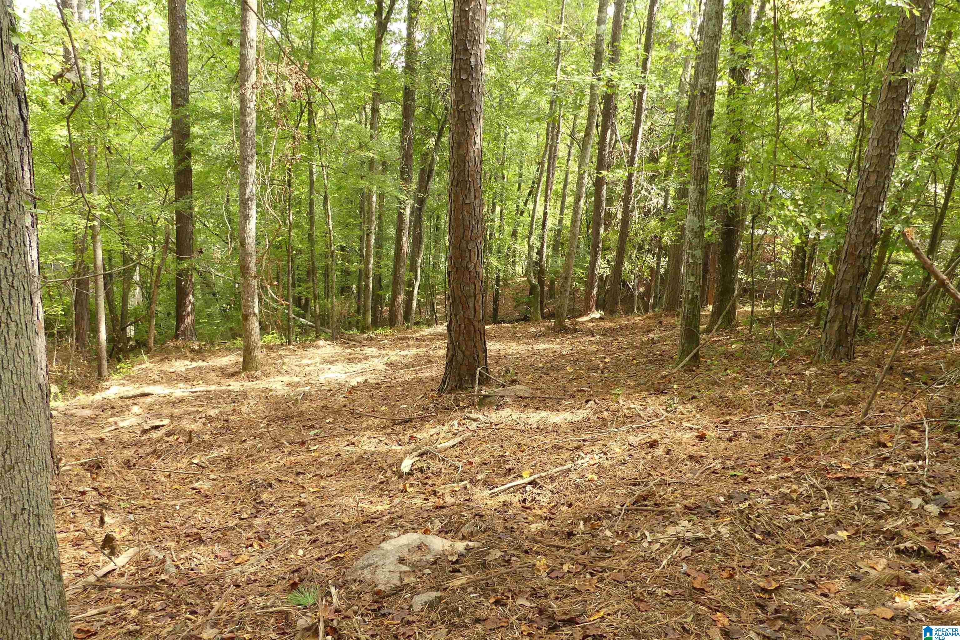 Lot 20 Foster Cove Drive #20, LINEVILLE, Alabama image 3