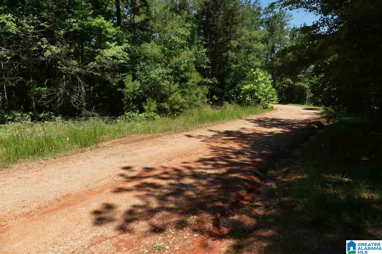 Lot 20 Foster Cove Drive #20, LINEVILLE, Alabama image 10