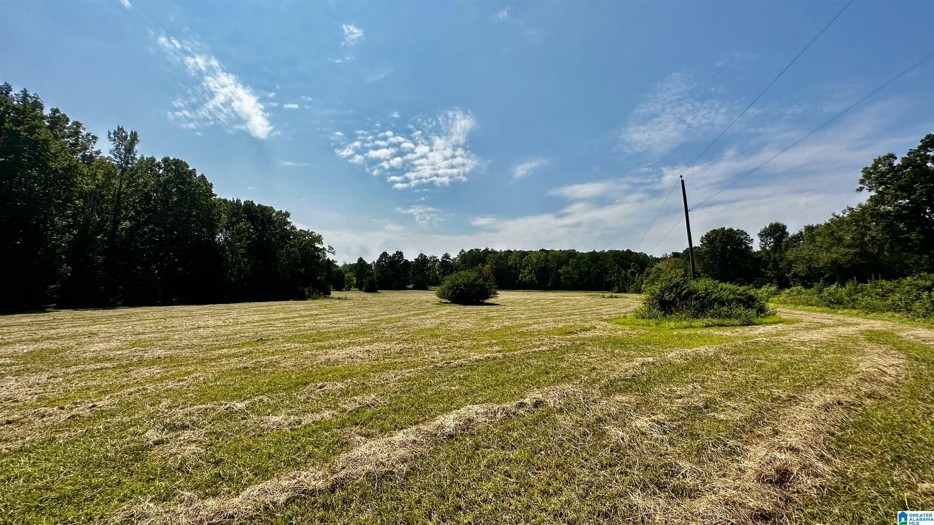 Rock School Road, HARPERSVILLE, Alabama image 12