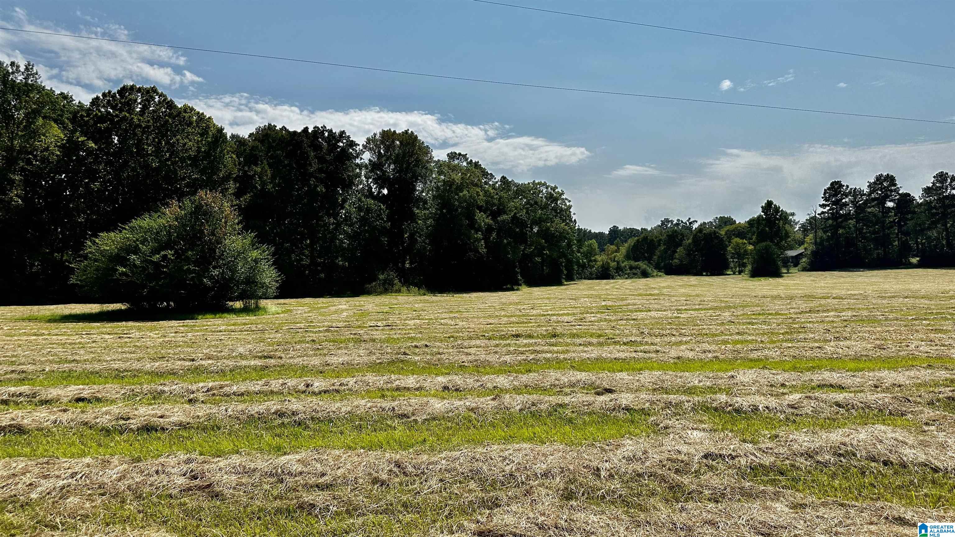 Rock School Road, HARPERSVILLE, Alabama image 15