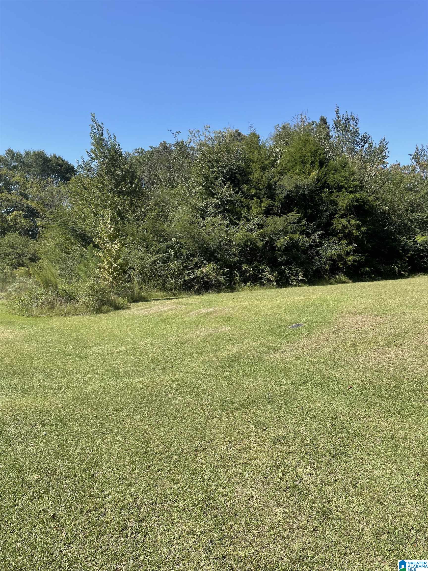 Homes for sale in Lincoln, AL | 1046 Lock 4 Road, Lincoln, AL 35096 | MLS# 21366979
