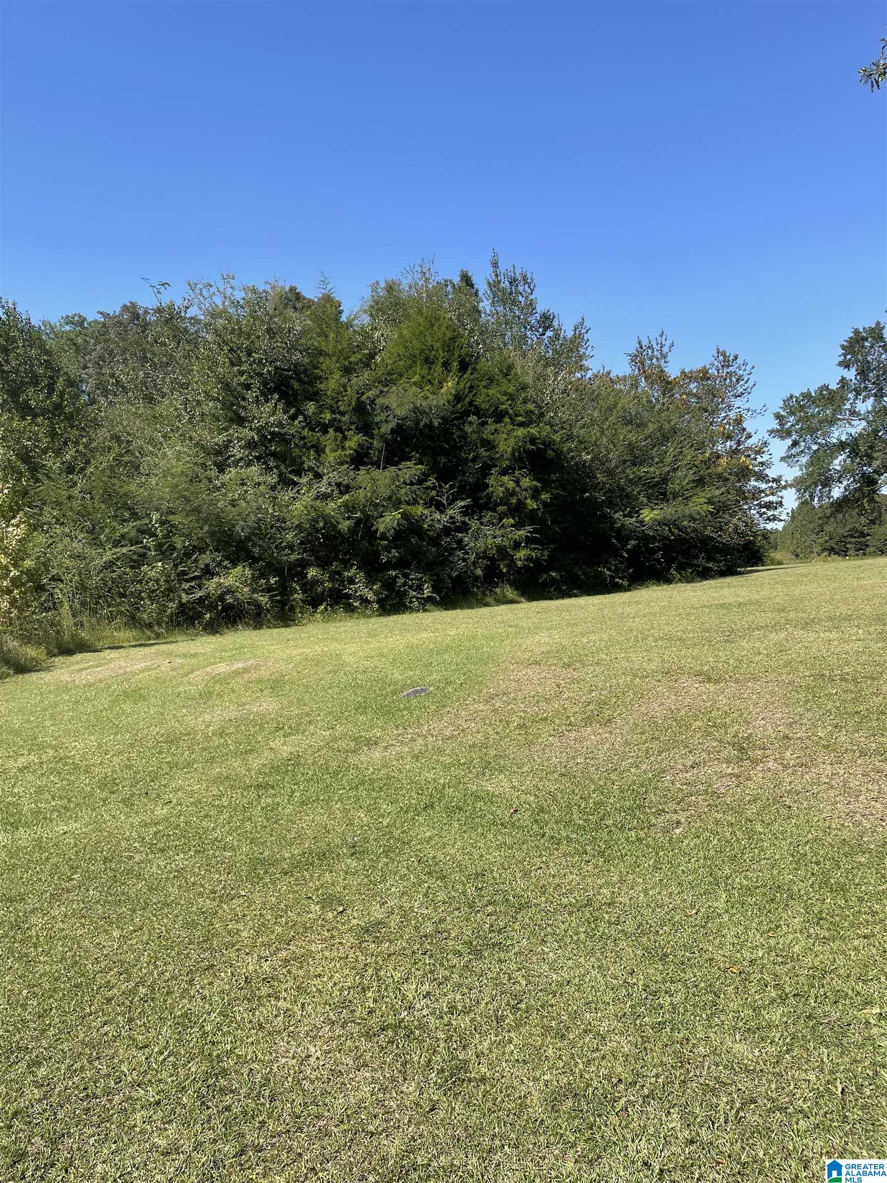 Homes for sale in Lincoln, AL | 1046 Lock 4 Road, Lincoln, AL 35096 | MLS# 21366979