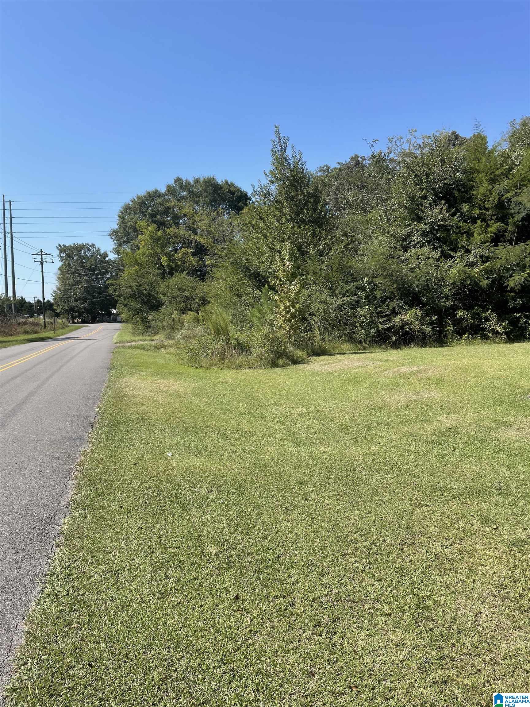 Homes for sale in Lincoln, AL | 1046 Lock 4 Road, Lincoln, AL 35096 | MLS# 21366979