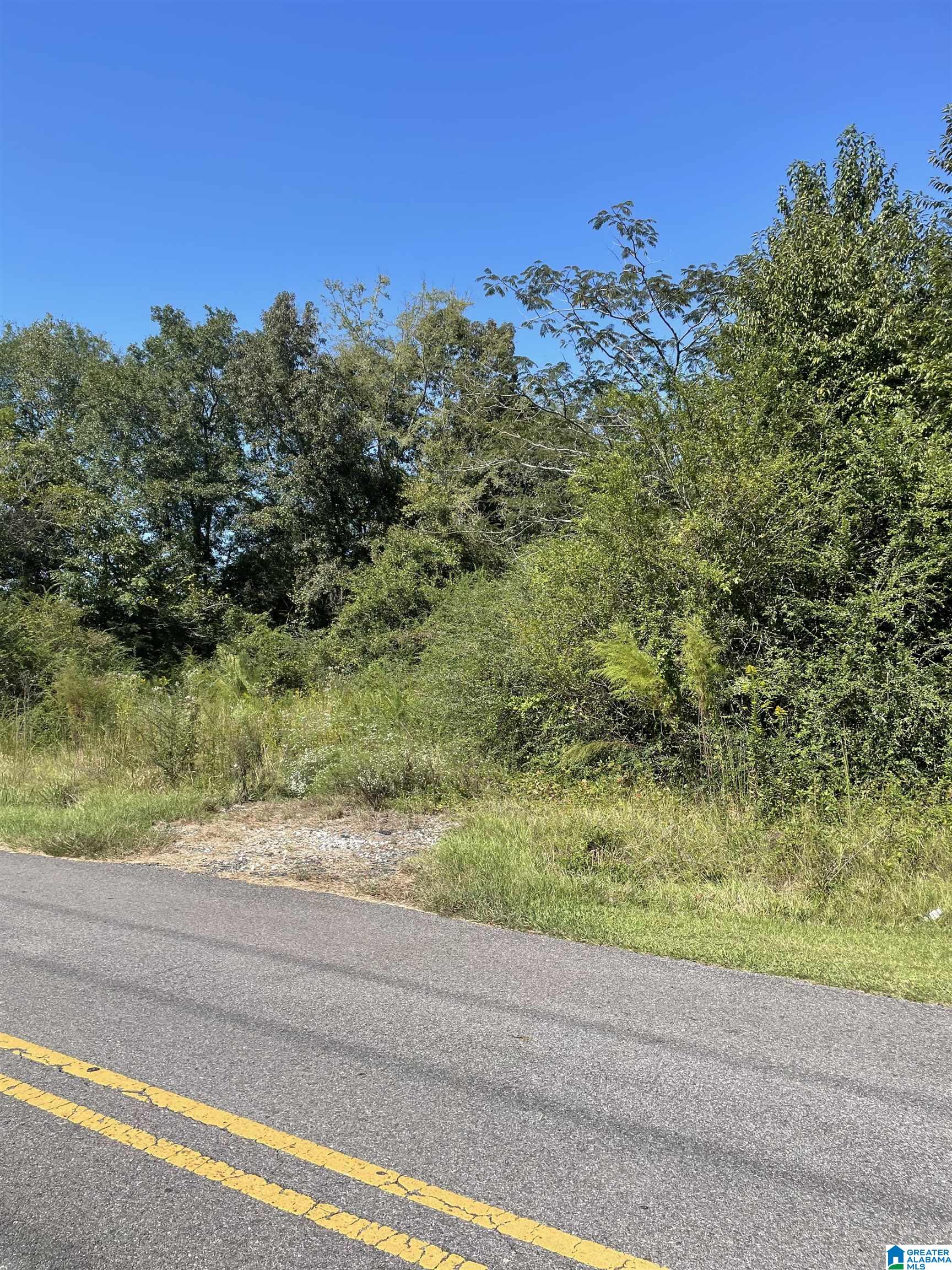 Homes for sale in Lincoln, AL | 1046 Lock 4 Road, Lincoln, AL 35096 | MLS# 21366979