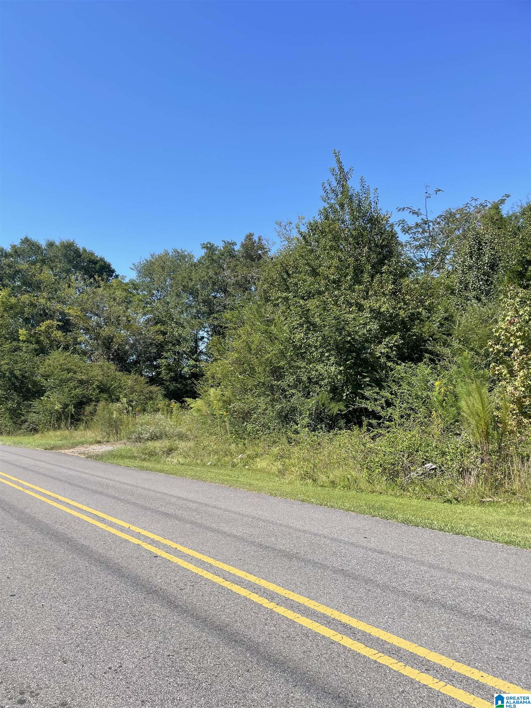 Homes for sale in Lincoln, AL | 1046 Lock 4 Road, Lincoln, AL 35096 | MLS# 21366979