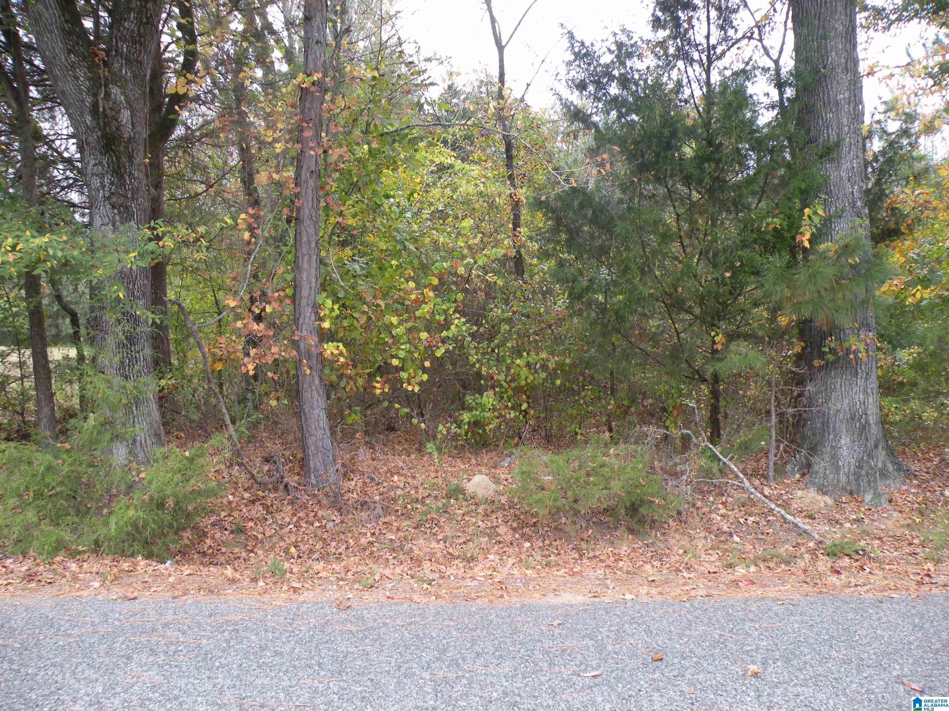 0 FULTON GAP ROAD