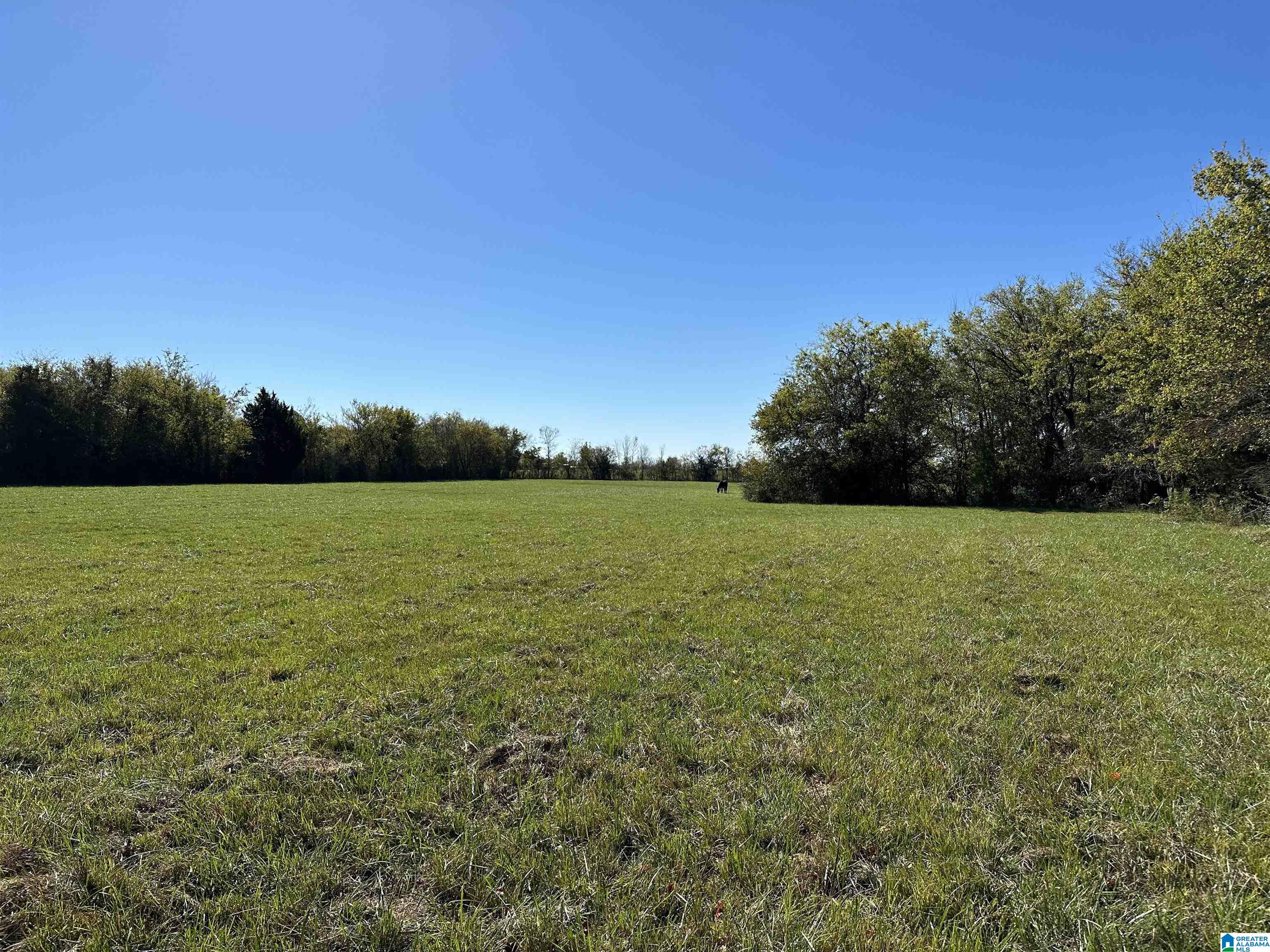 Homes for sale in Montgomery, AL | County Road 27, Montgomery, AL 36105 | MLS# 21369922