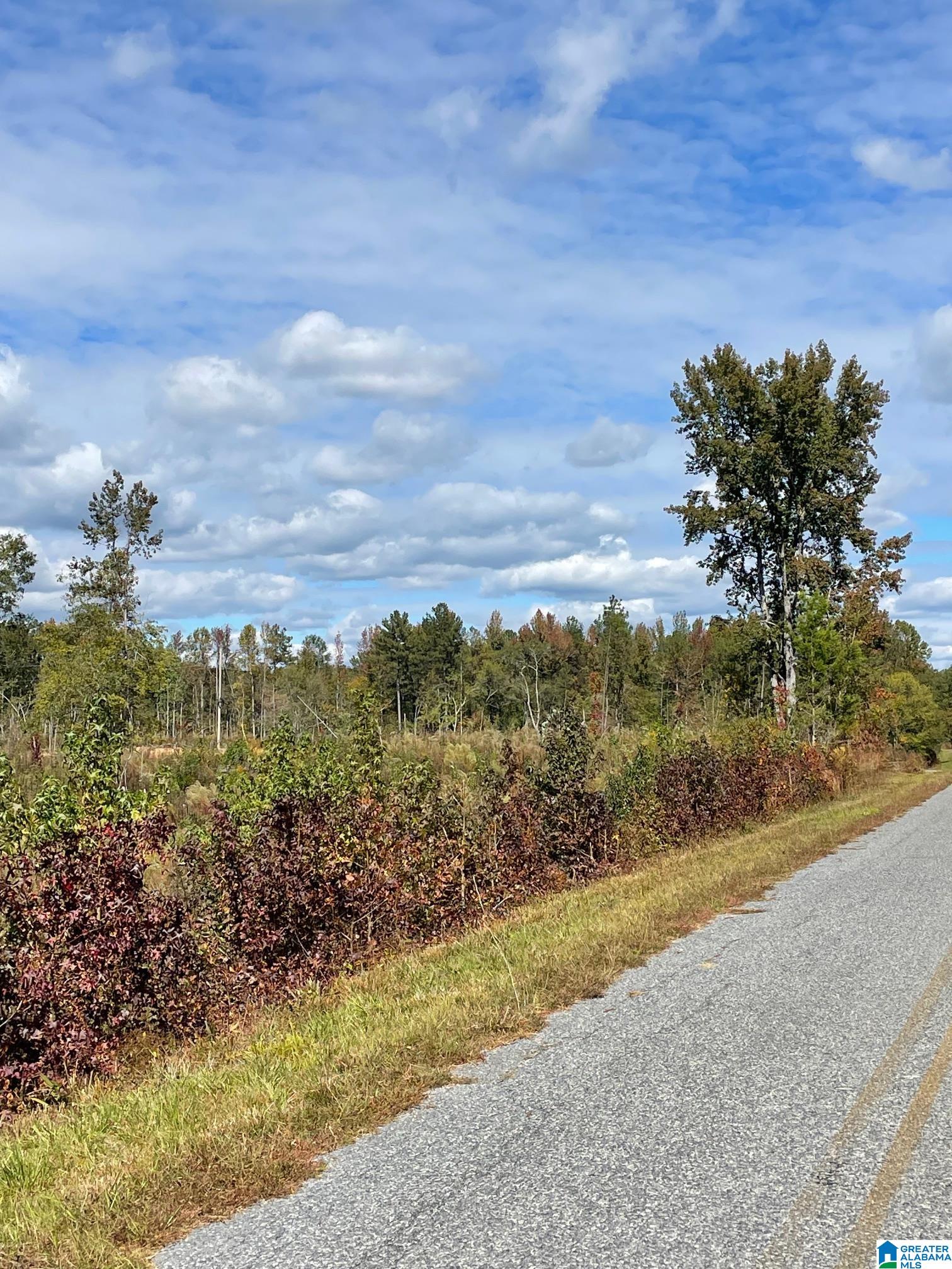 County Road 45 #4, ROCKFORD, Alabama image 3