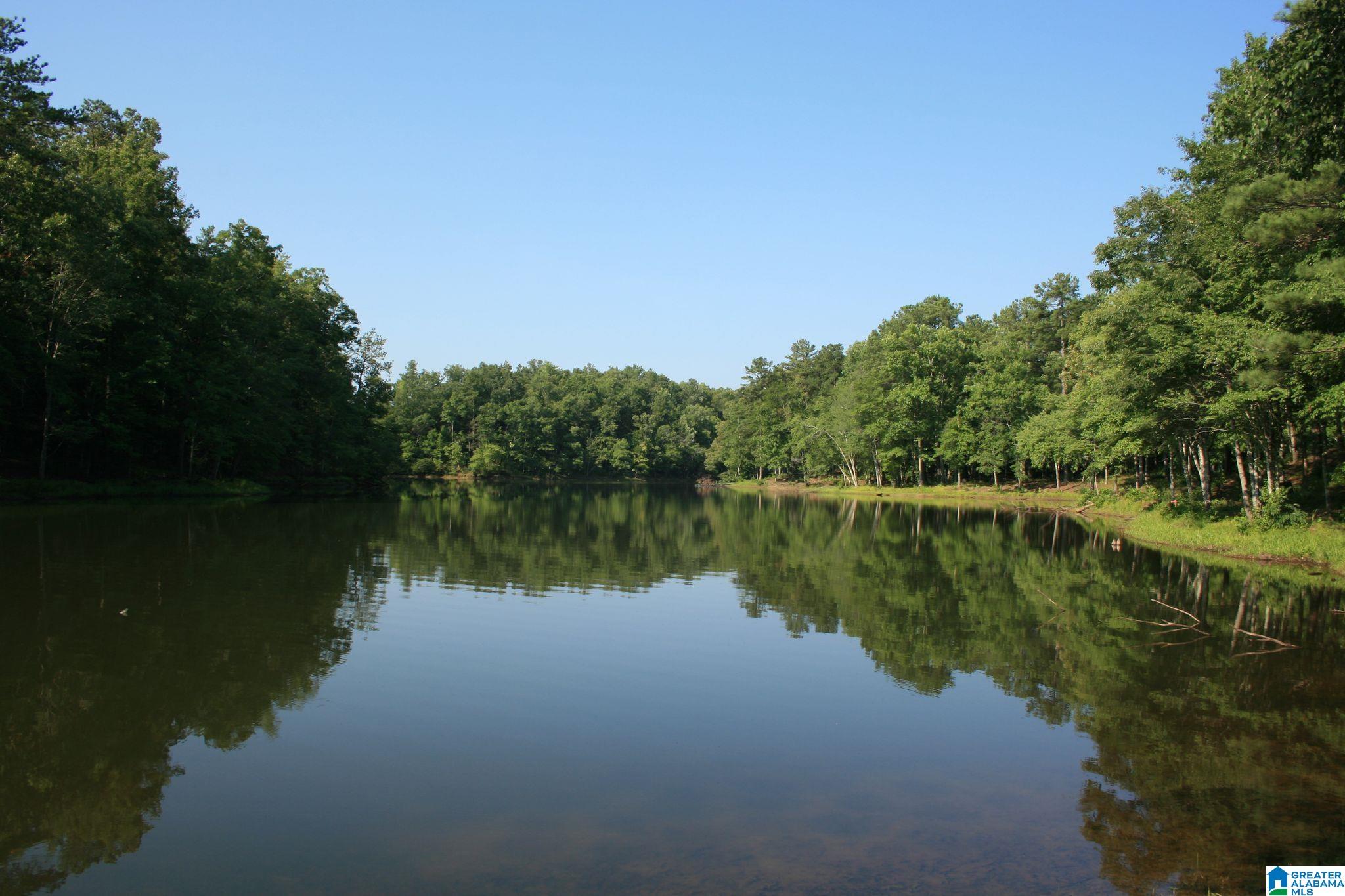 Homes for sale in Westover, AL | 1321 Pine Mountain Trail, Westover, AL 35147 | MLS# 21370736