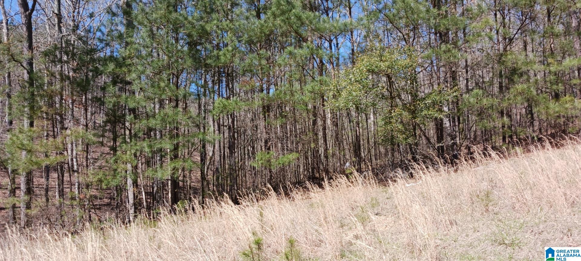 Lot 223 STONEY POINT ROAD S 223, DOUBLE SPRINGS, AL 35553