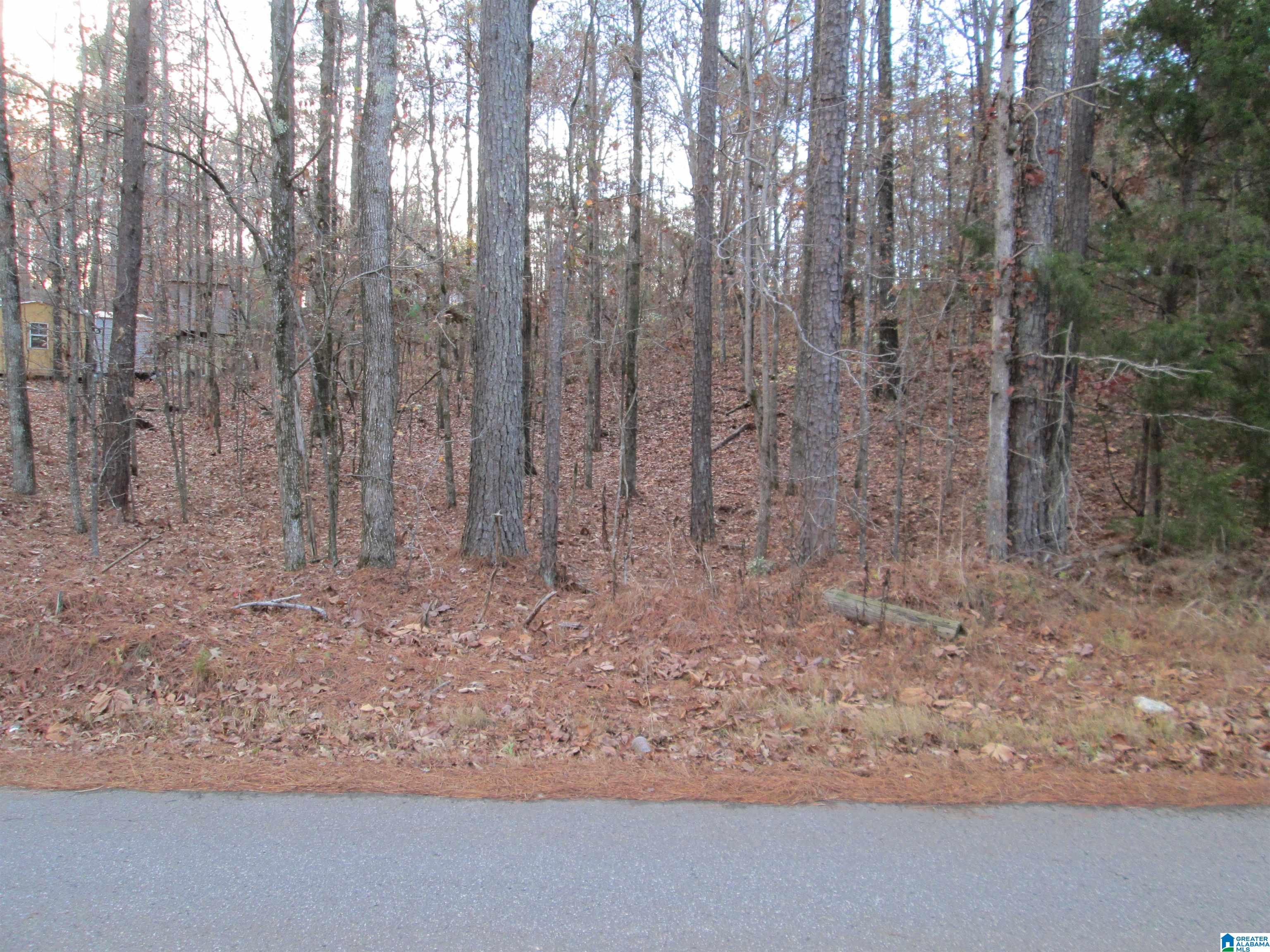PARSONS DRIVE