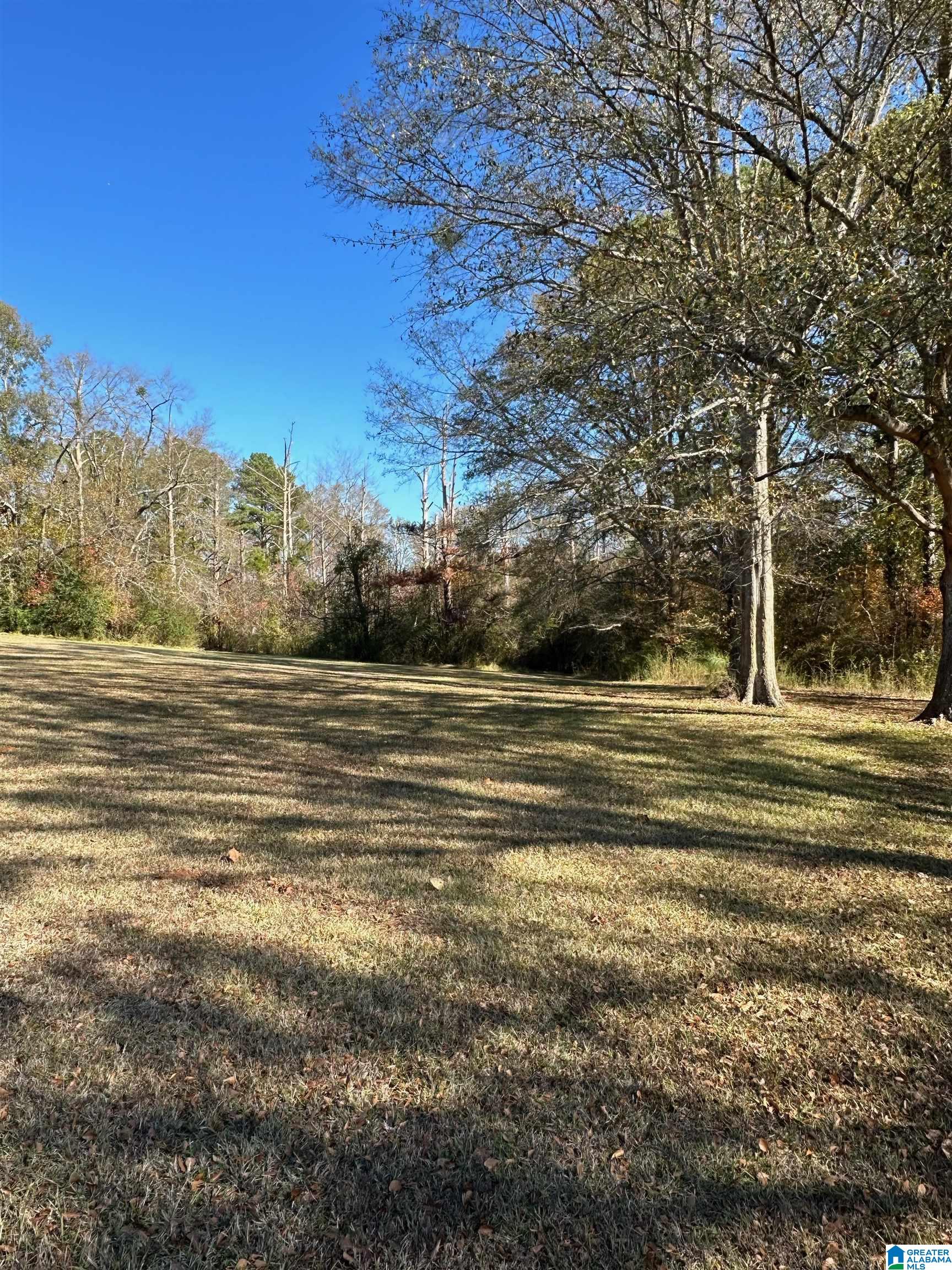 LOT 5 Carleton Point #5, WILSONVILLE, Alabama image 8