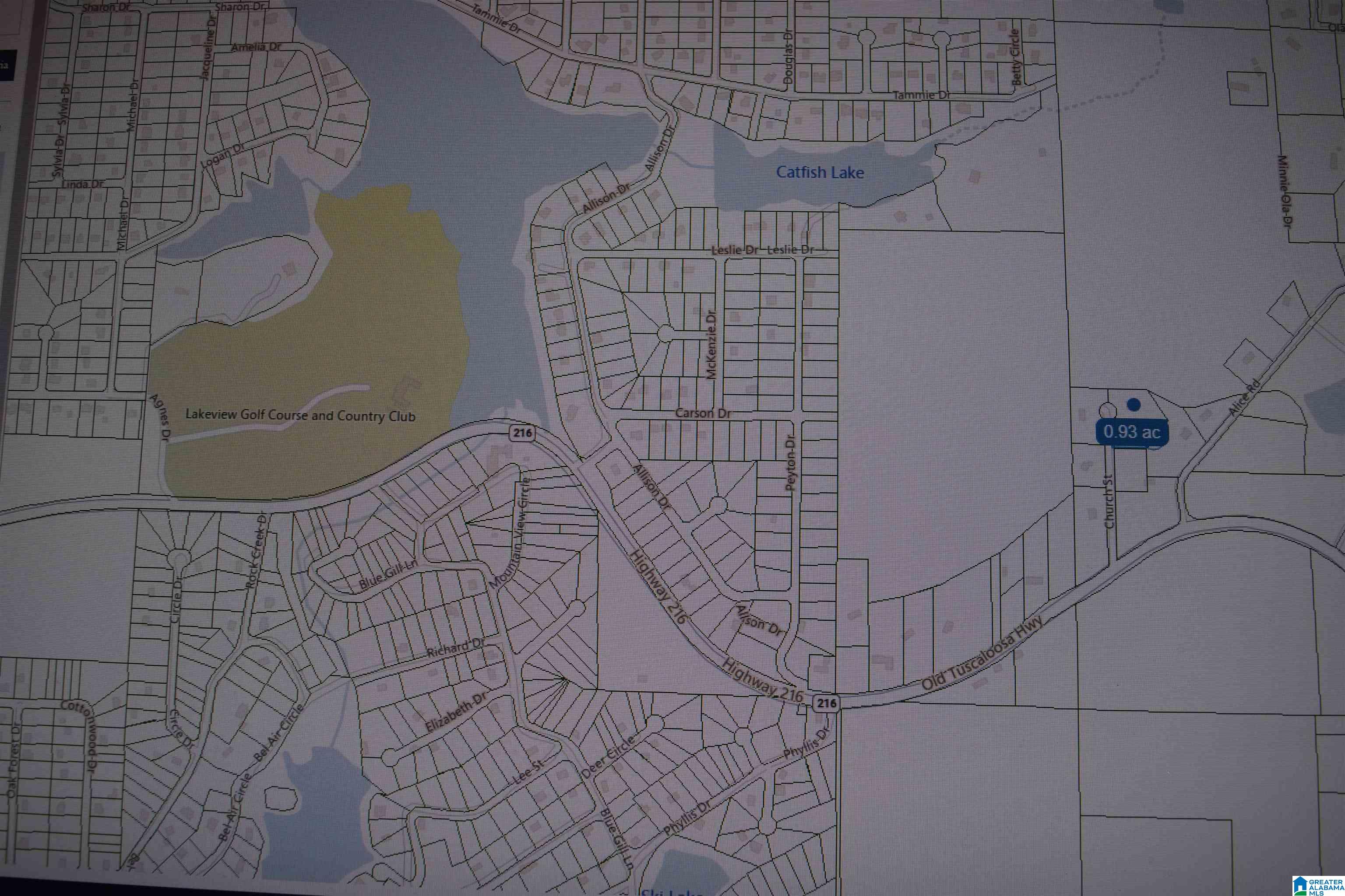 Homes for sale in Mccalla, AL | 000 Church Street, Mccalla, AL 35111 | MLS# 21372806