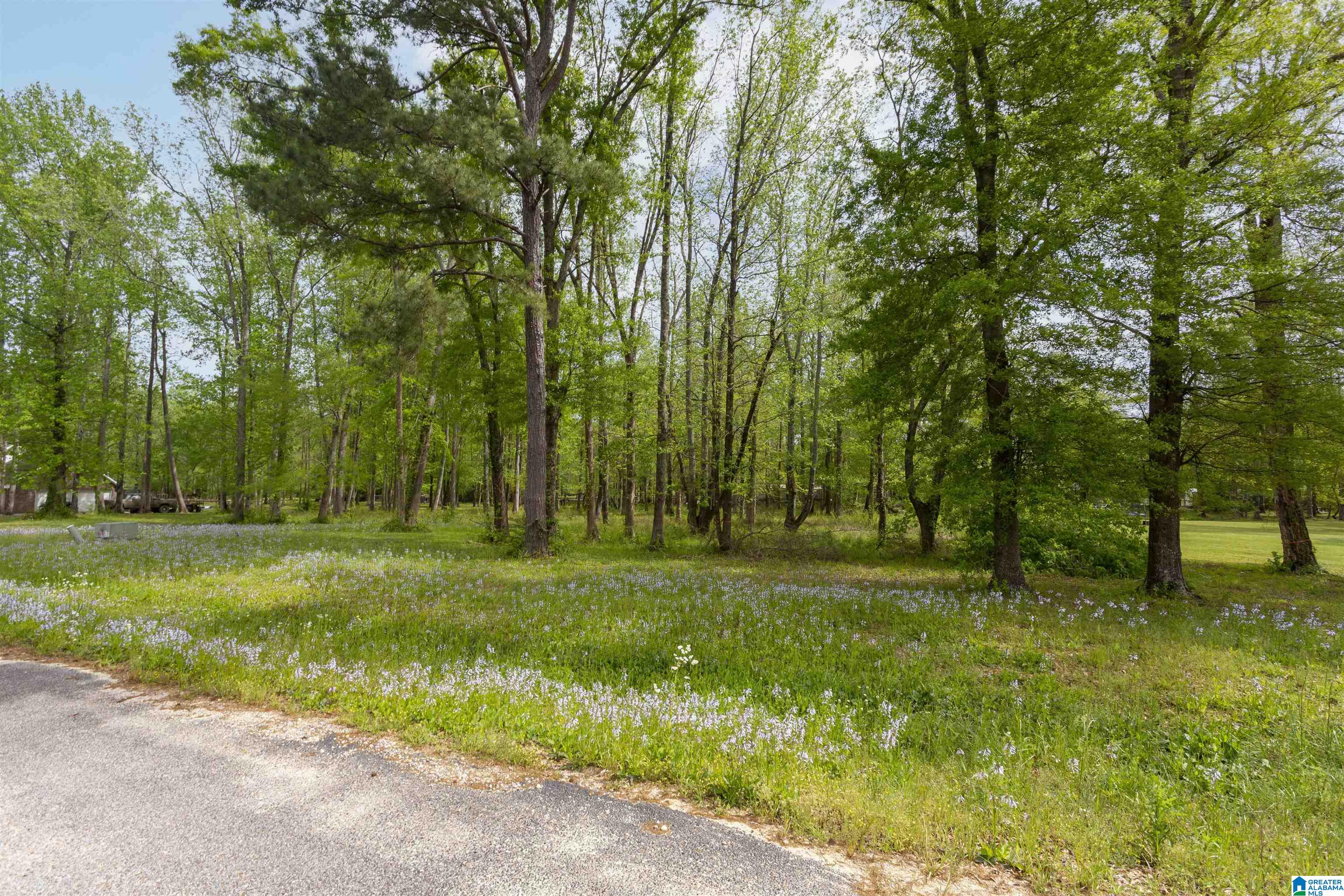 County Road 797 #LOT 6, CLANTON, Alabama image 42