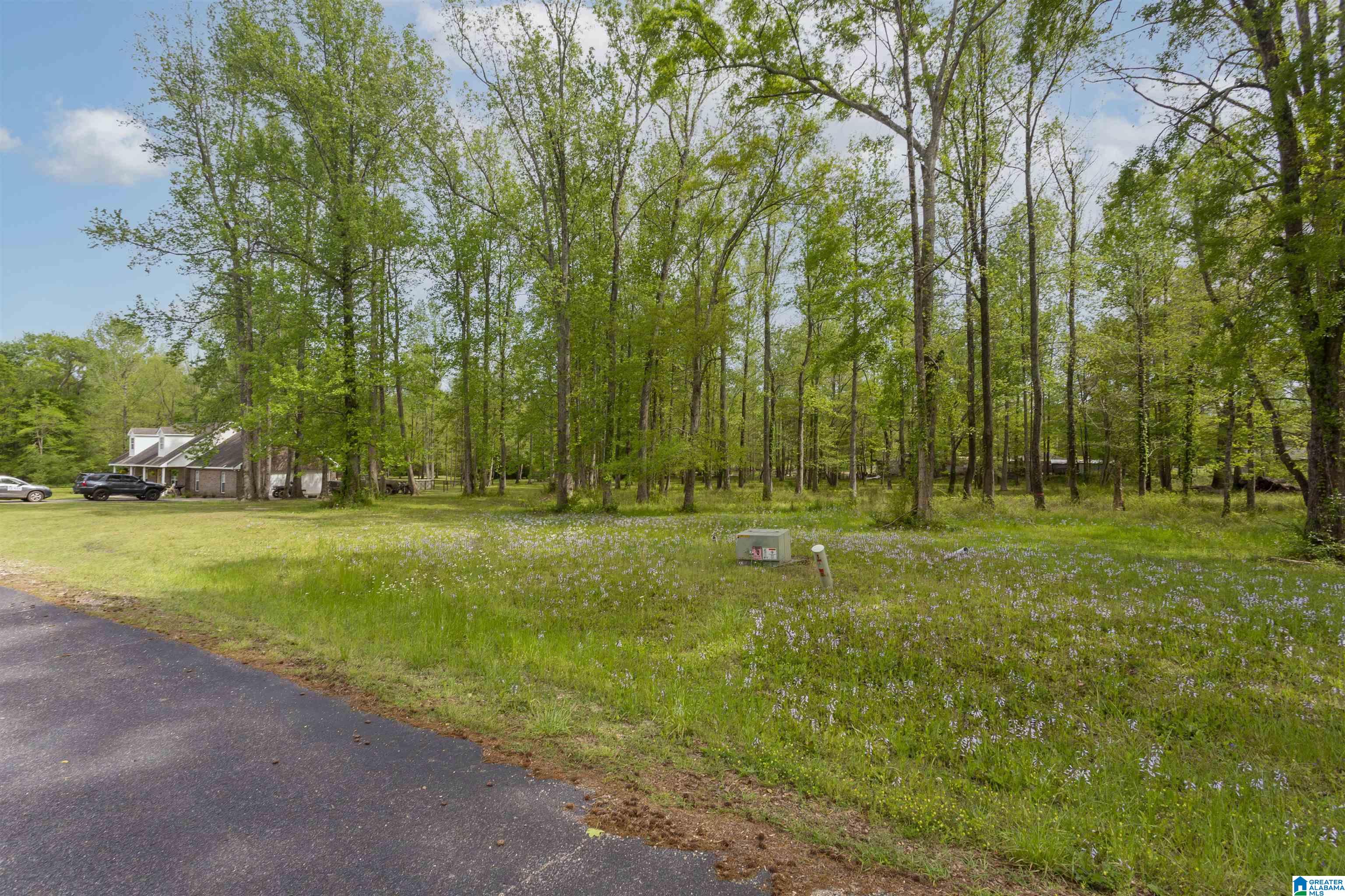 County Road 797 #LOT 6, CLANTON, Alabama image 44