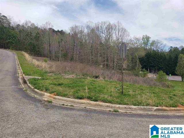 Homes for sale in Springville, AL | 45 Joshua Way, Springville, AL 35146 | MLS# 21373927