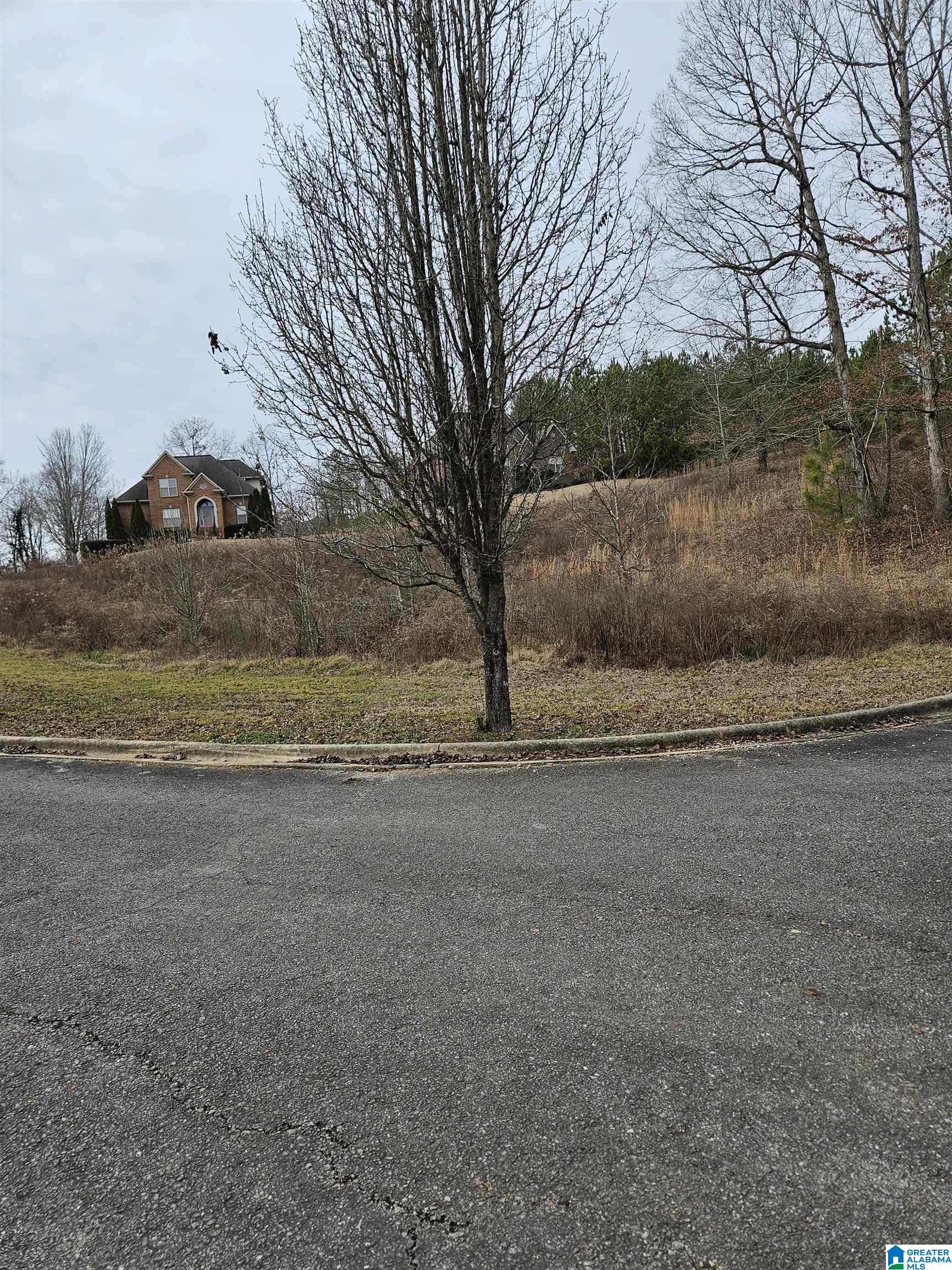 Homes for sale in Springville, AL | 45 Joshua Way, Springville, AL 35146 | MLS# 21373927