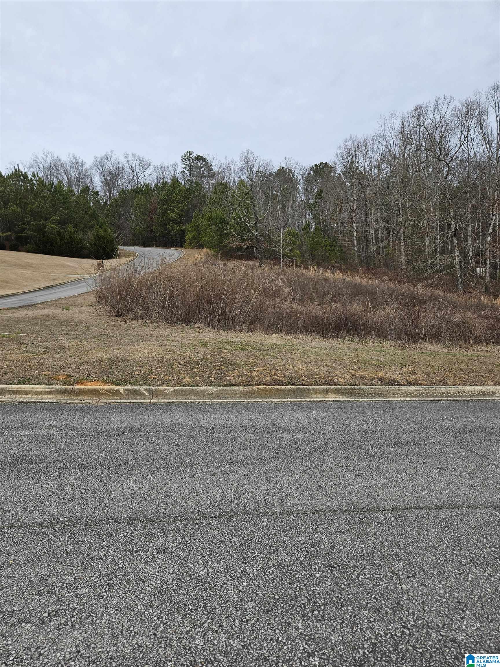 Homes for sale in Springville, AL | 45 Joshua Way, Springville, AL 35146 | MLS# 21373927