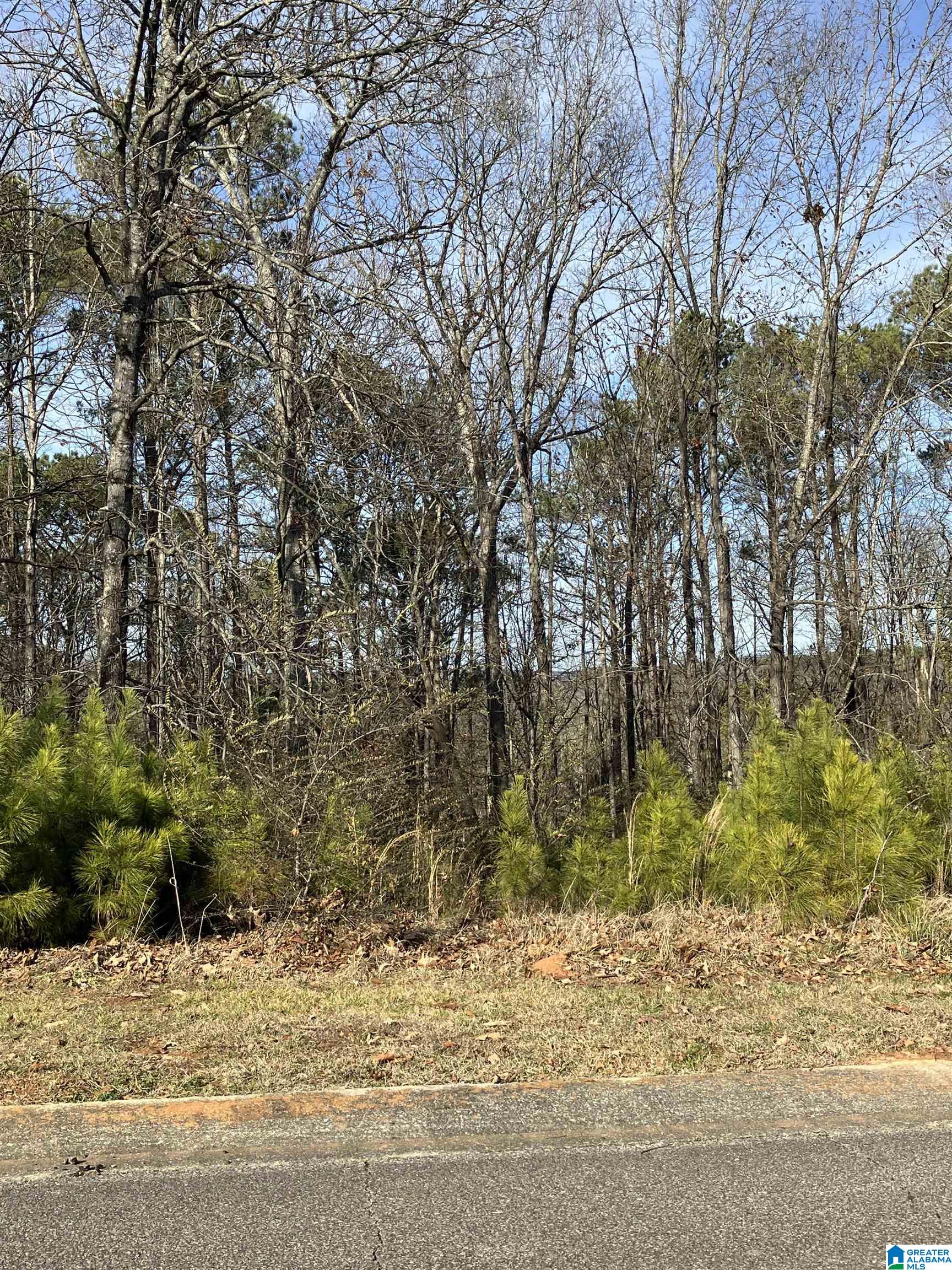 Homes for sale in Springville, AL | 11 Woodland Hills, Springville, AL 35146 | MLS# 21374311