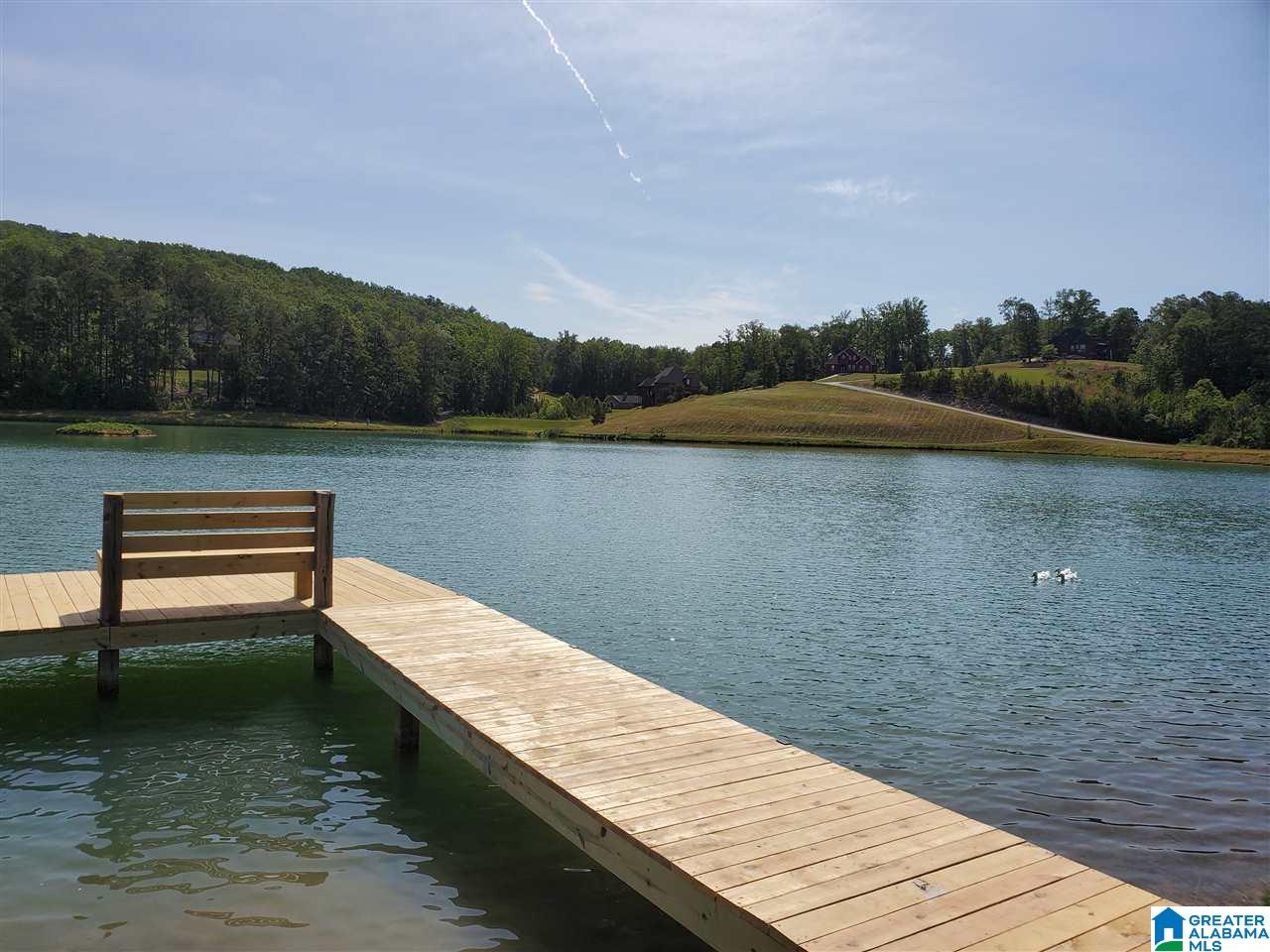 Homes for sale in Springville, AL | 325 Gray Fox Road, Springville, AL 35146 | MLS# 21375418