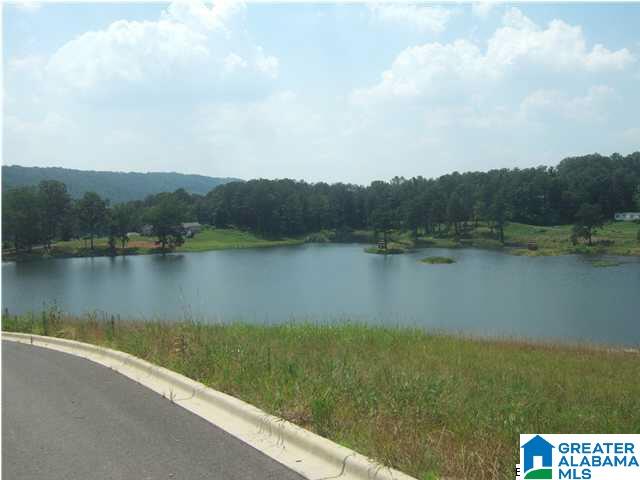 Homes for sale in Springville, AL | 325 Gray Fox Road, Springville, AL 35146 | MLS# 21375418