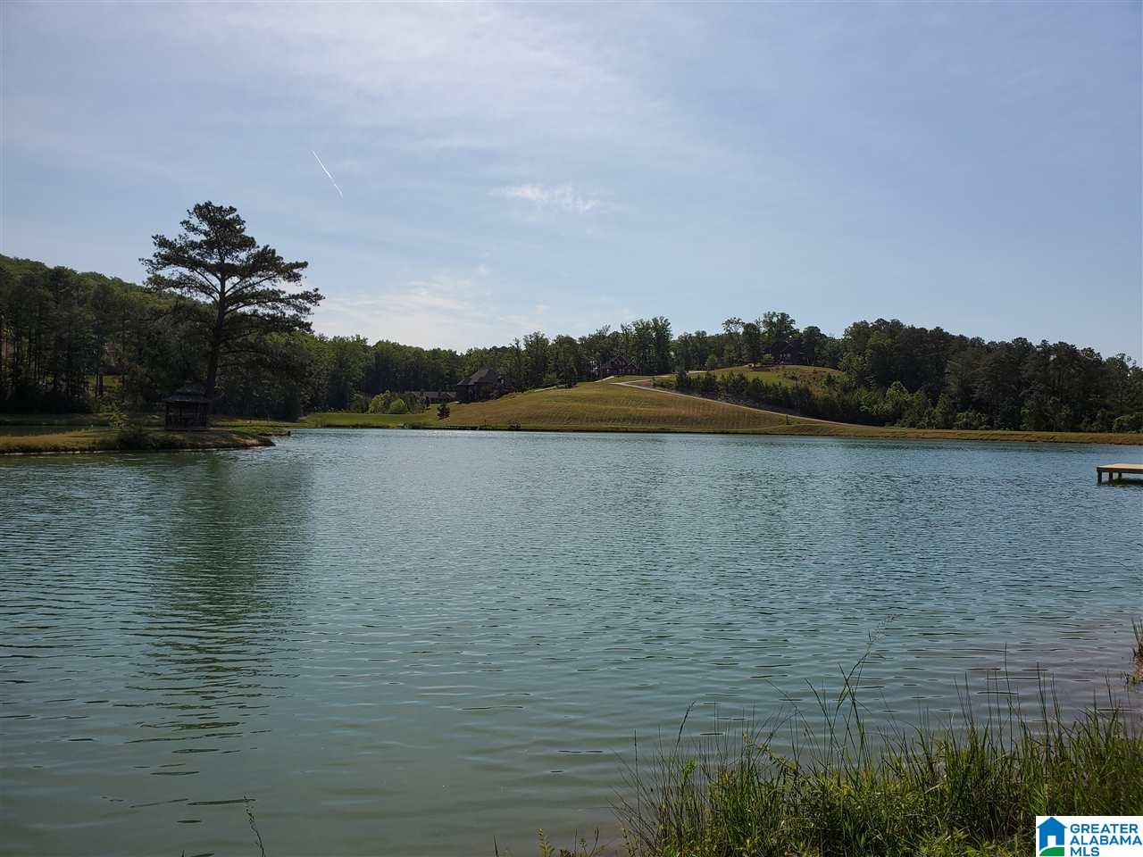 Homes for sale in Springville, AL | 325 Gray Fox Road, Springville, AL 35146 | MLS# 21375418