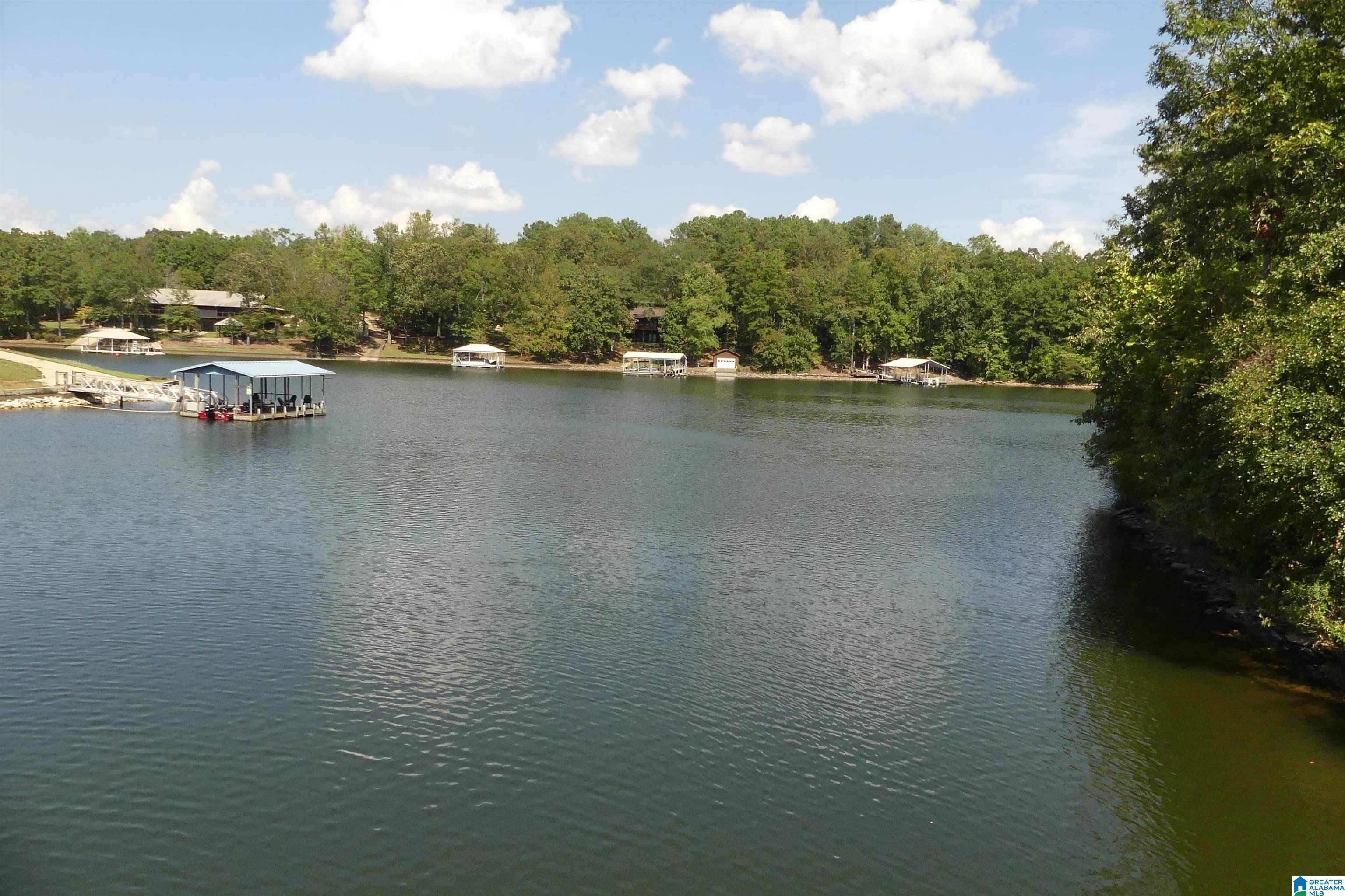 LOT 11 BROOKWATER POINTE