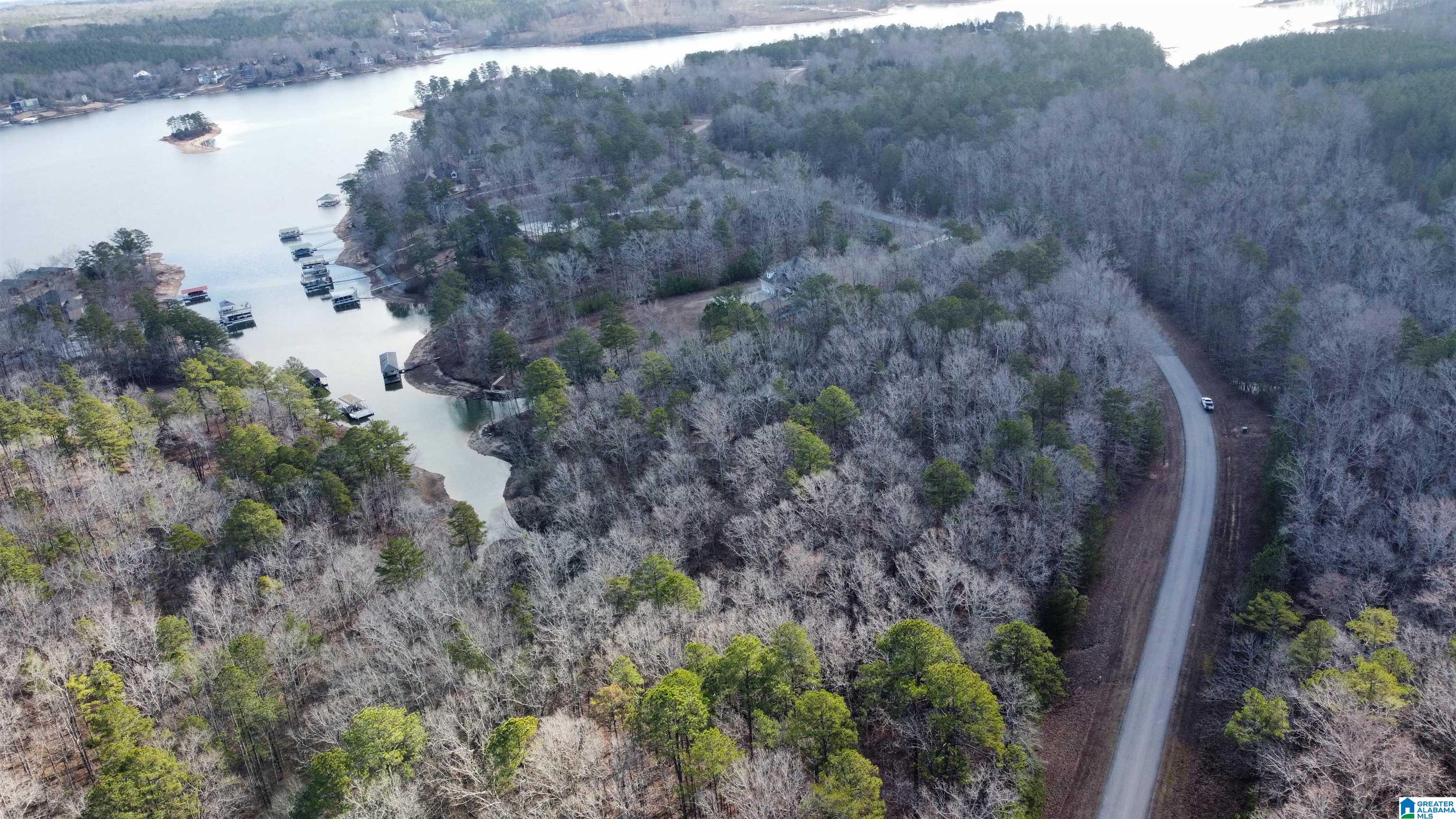 Lot 36 Stoney Point Landing #36, DOUBLE SPRINGS, Alabama image 10