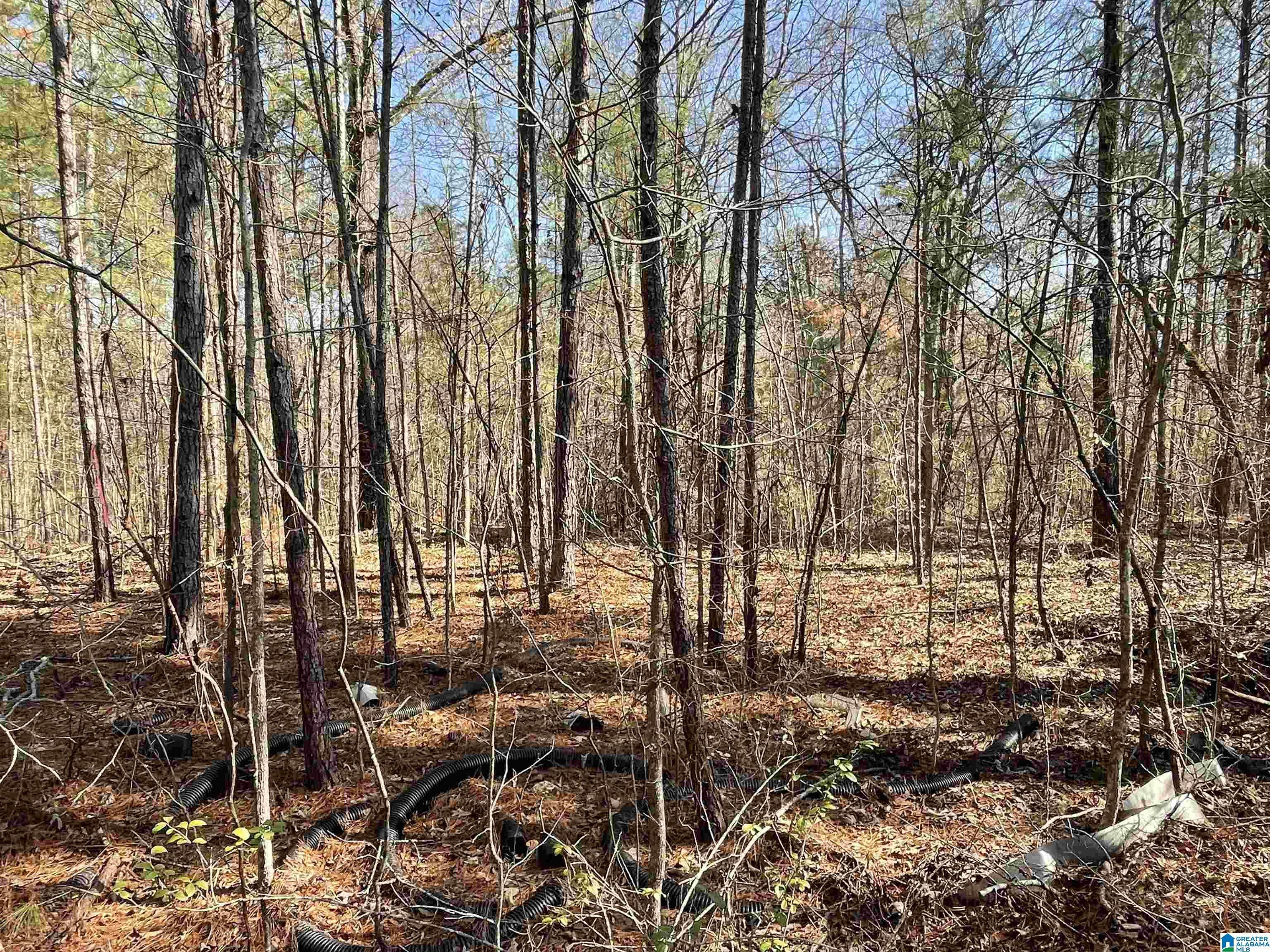 0 WILSON GLEN DRIVE