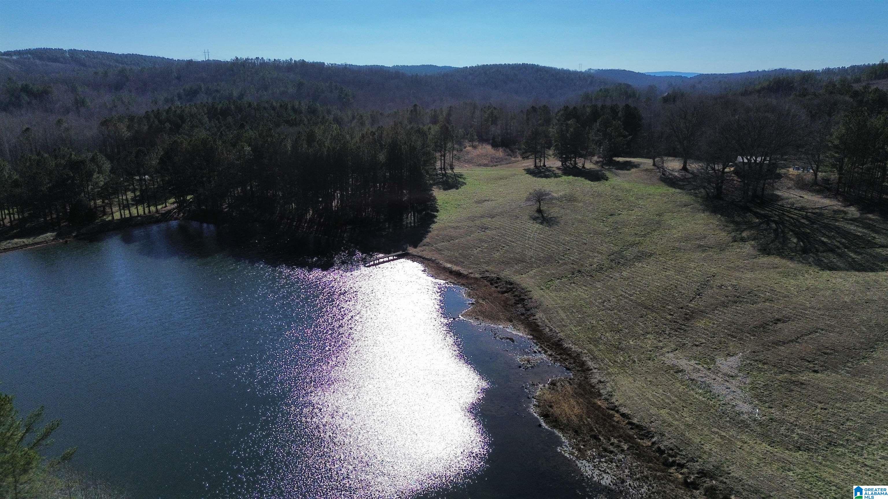 Homes for sale in Ashland, AL | 46088 Hwy 77, Ashland, AL 36251 | MLS# 21376083