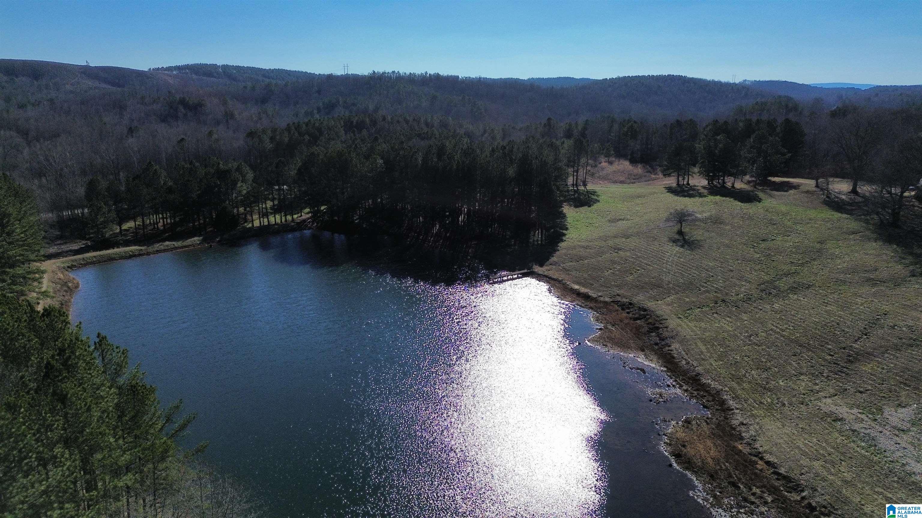 Homes for sale in Ashland, AL | 46088 Hwy 77, Ashland, AL 36251 | MLS# 21376083