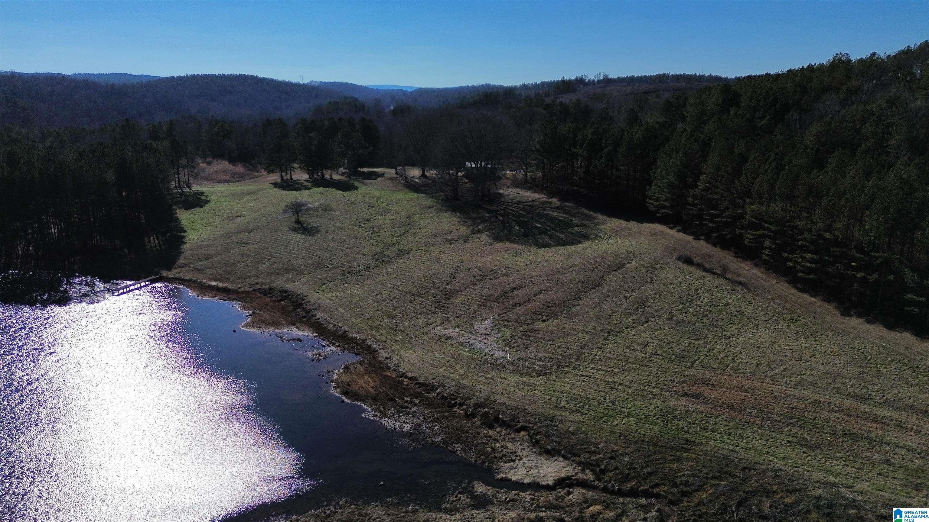 Homes for sale in Ashland, AL | 46088 Hwy 77, Ashland, AL 36251 | MLS# 21376083