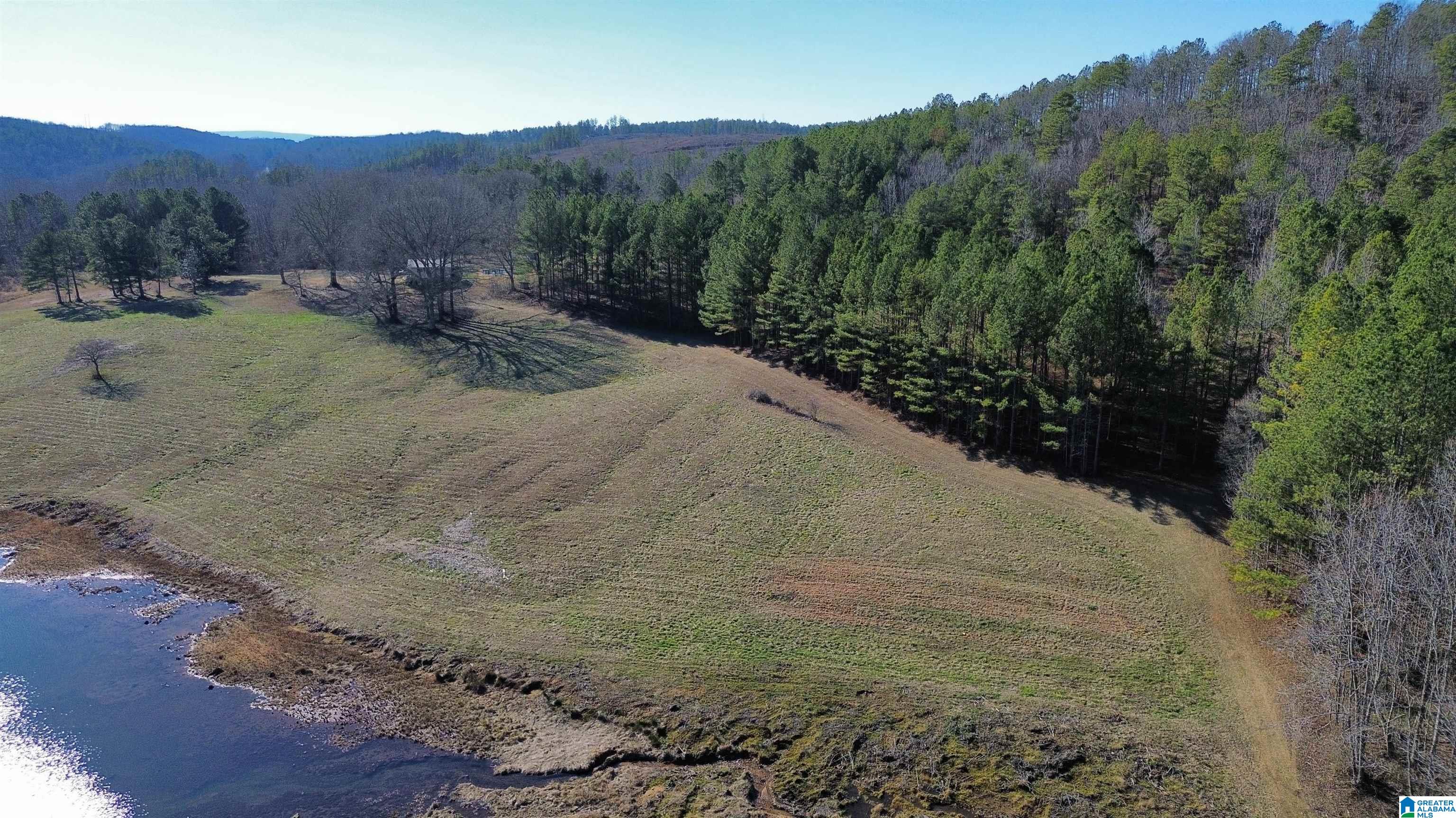 Homes for sale in Ashland, AL | 46088 Hwy 77, Ashland, AL 36251 | MLS# 21376083