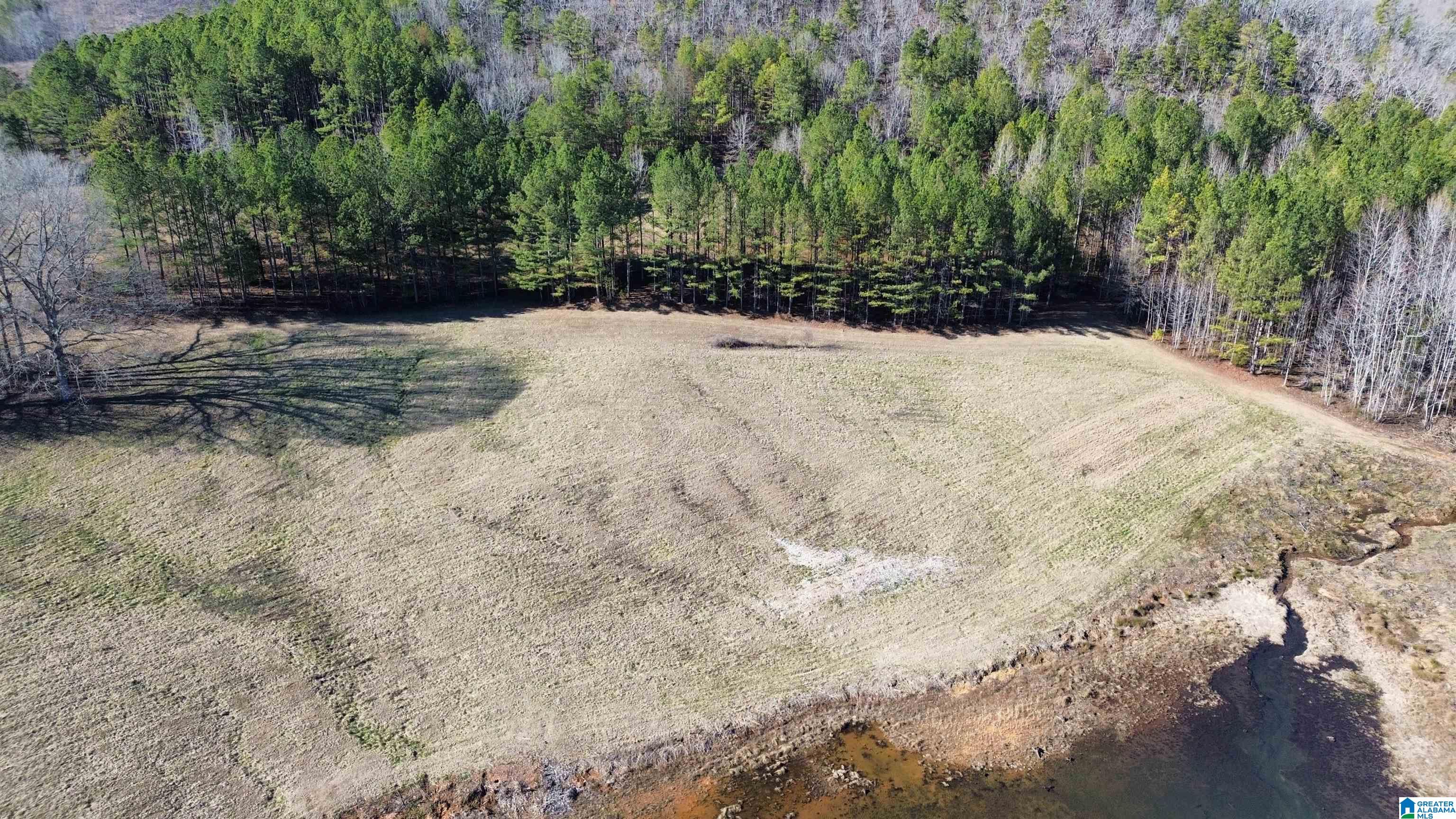 Homes for sale in Ashland, AL | 46088 Hwy 77, Ashland, AL 36251 | MLS# 21376083