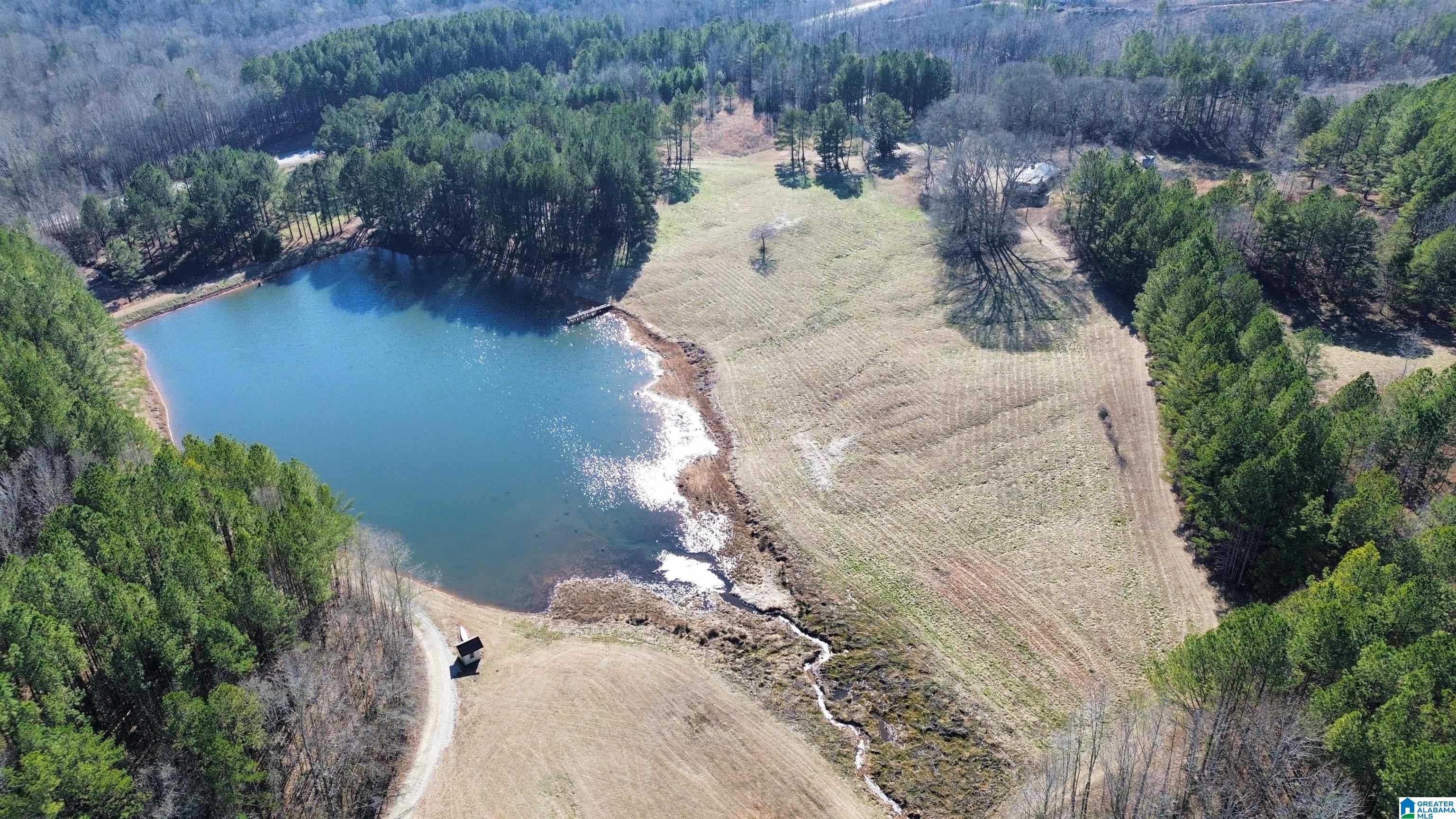 Homes for sale in Ashland, AL | 46088 Hwy 77, Ashland, AL 36251 | MLS# 21376083