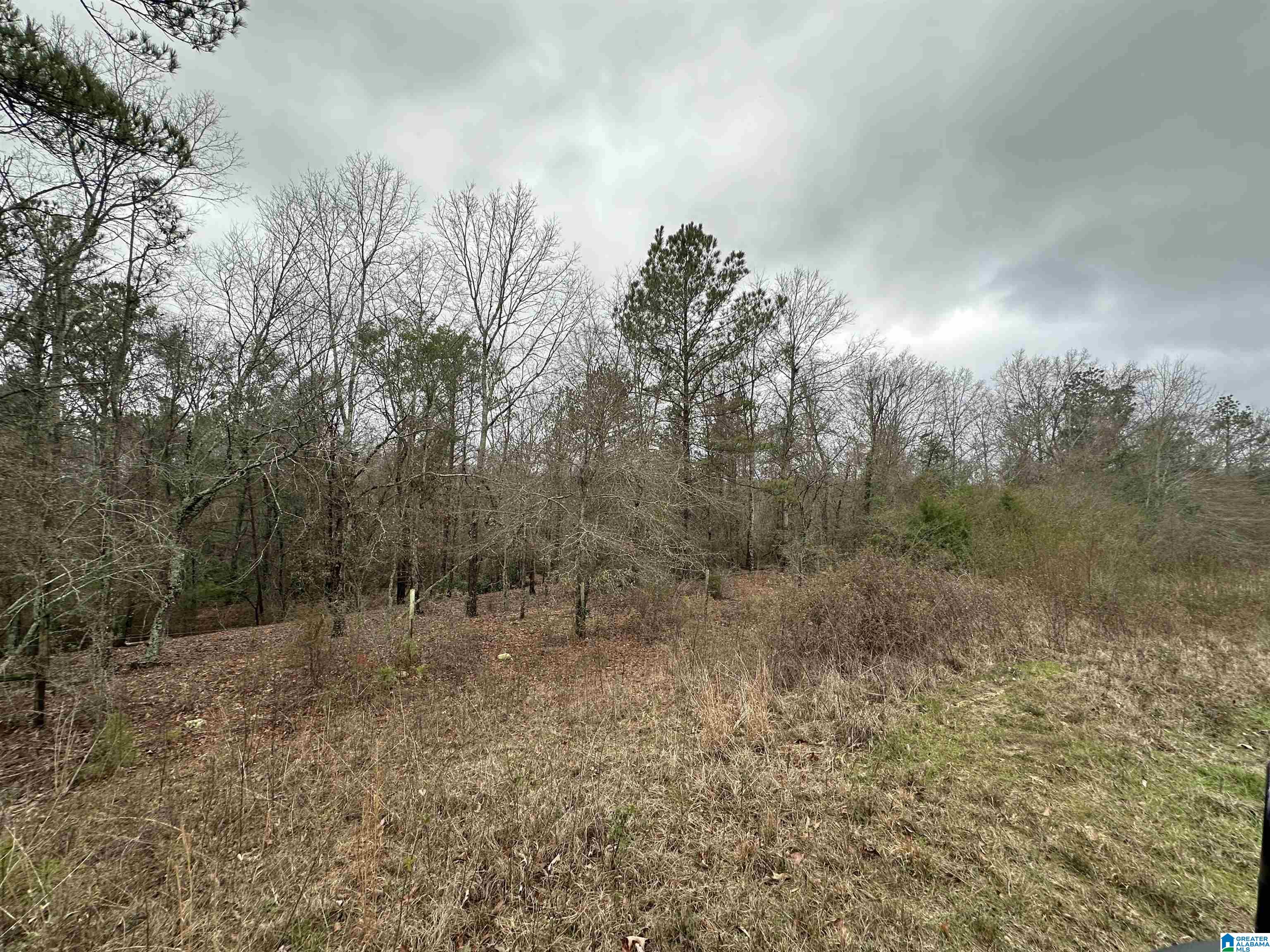 13610 County Road 37 #1, CLANTON, Alabama image 33