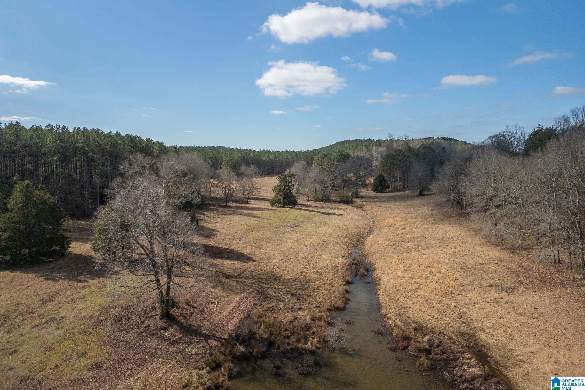 400 Morgan Bridge Road #1/1, RAGLAND, Alabama image 13